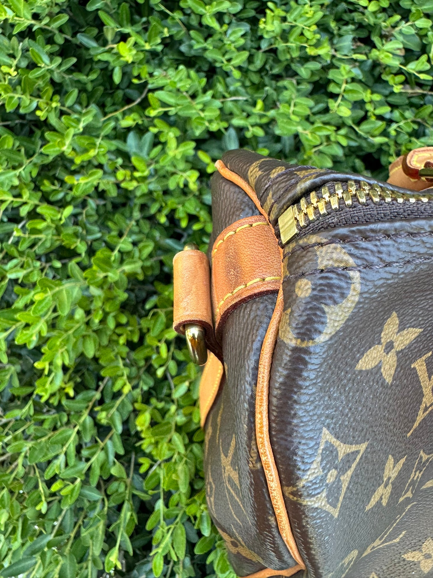 Louis Vuitton Speedy Bandoulière 25 in Monogram Canvas