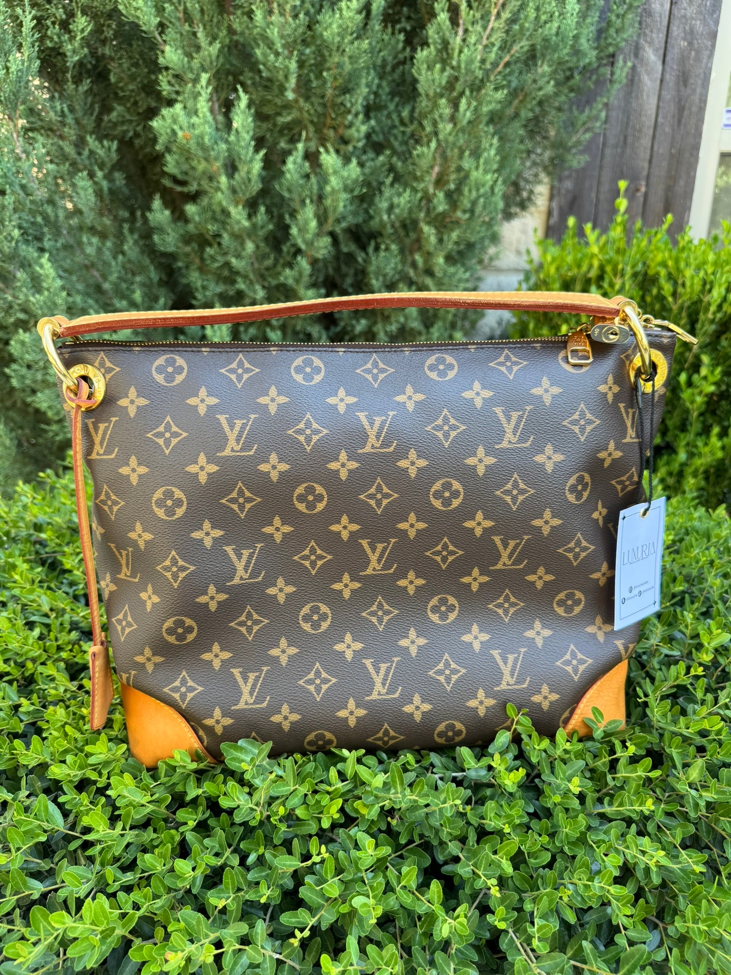 Louis Vuitton Berri PM in Monogram Canvas