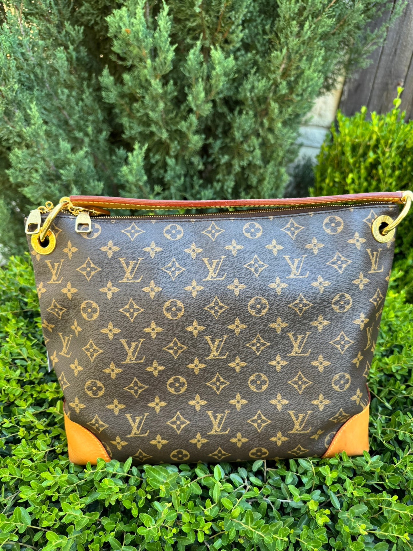 Louis Vuitton Berri PM in Monogram Canvas