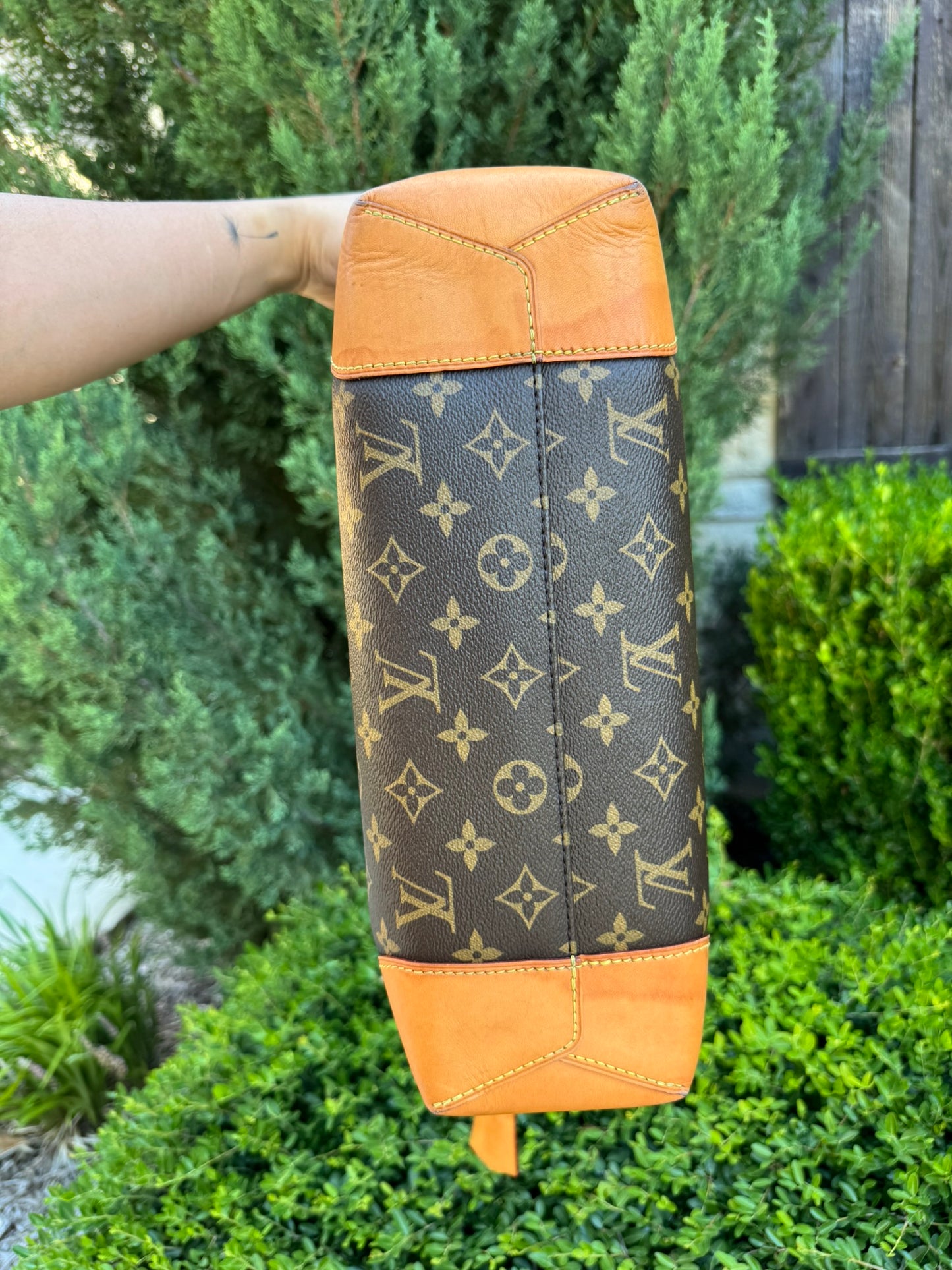 Louis Vuitton Berri PM in Monogram Canvas