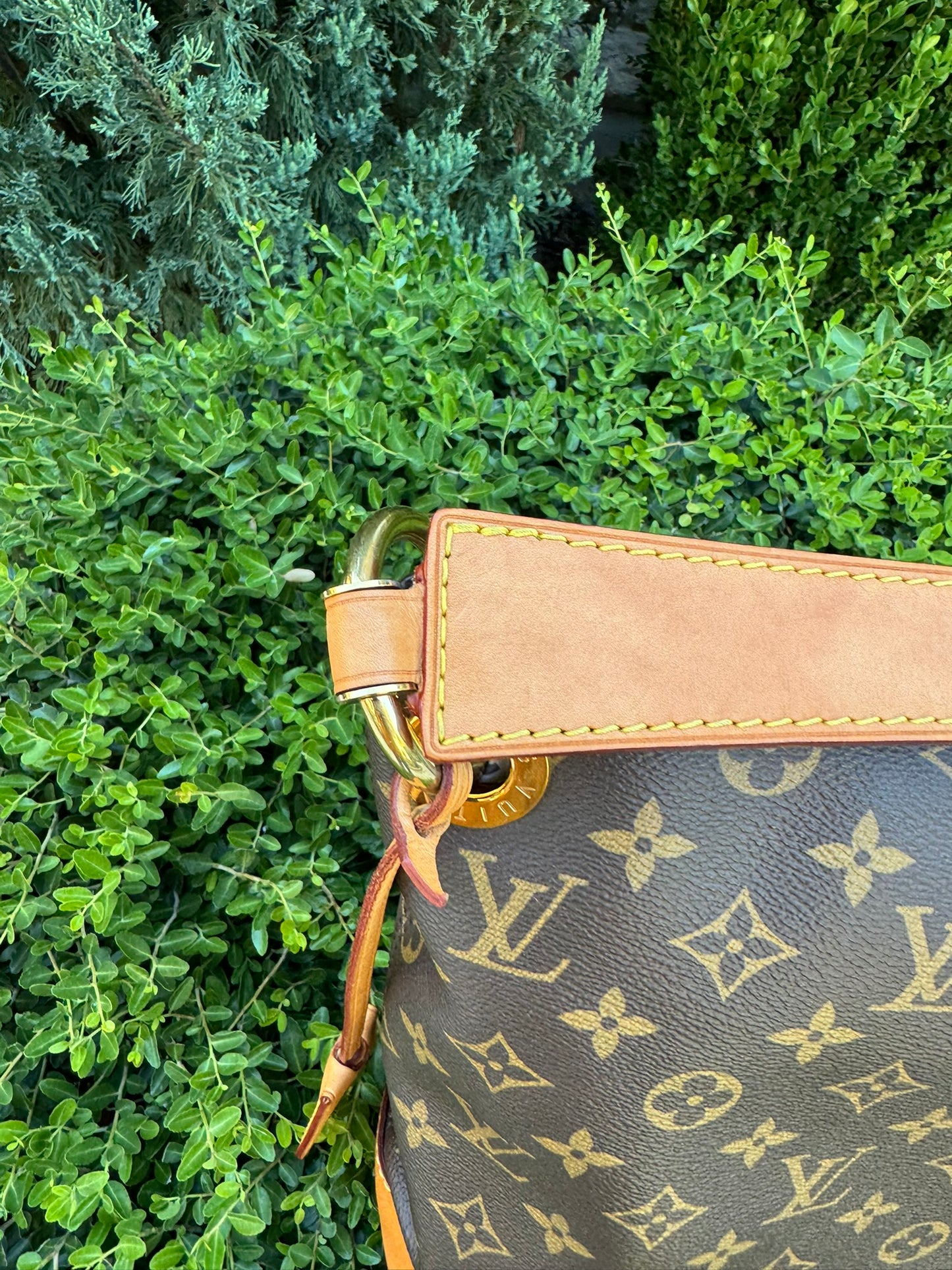 Louis Vuitton Berri PM in Monogram Canvas