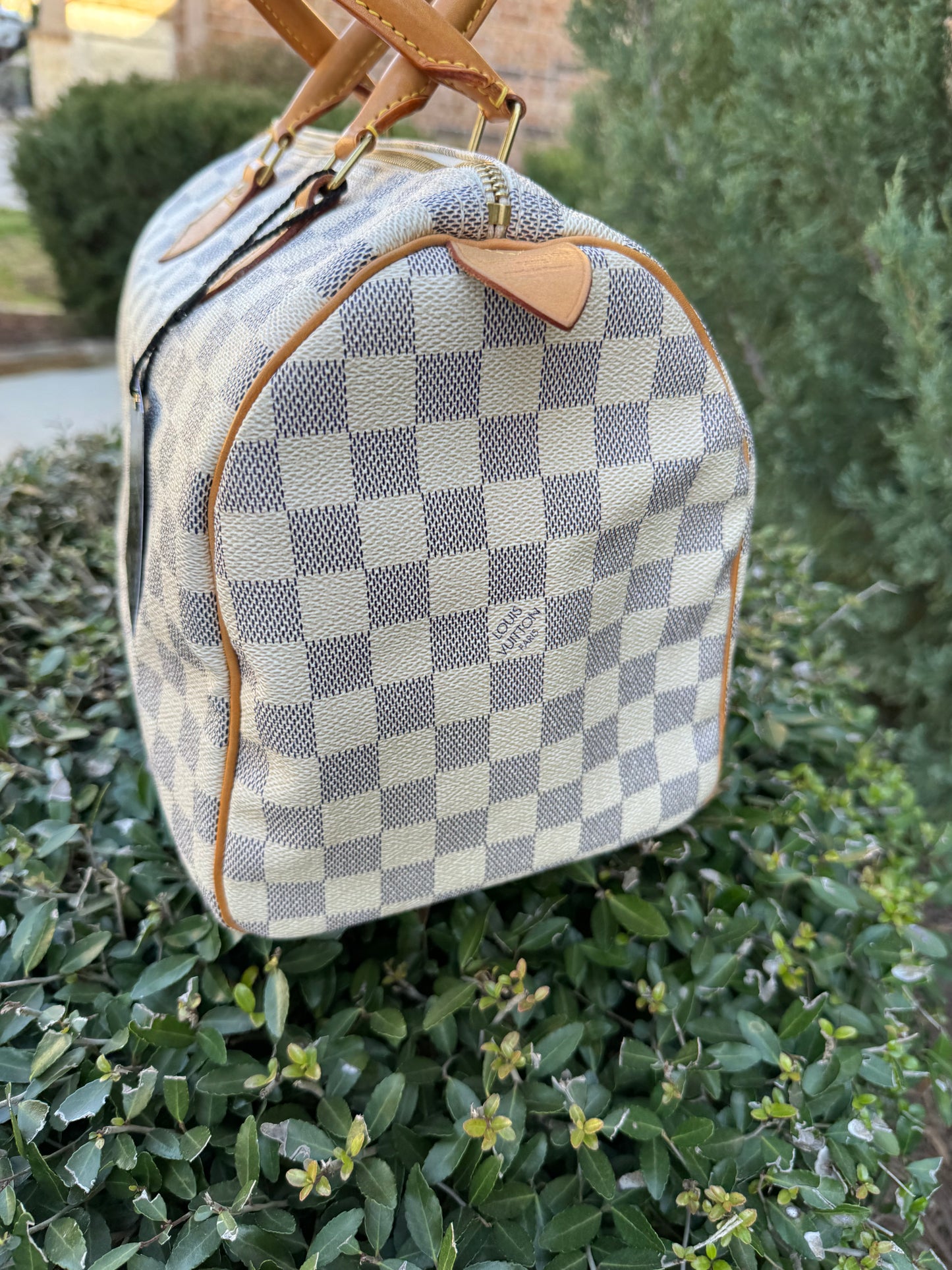 Louis Vuitton Speedy 30