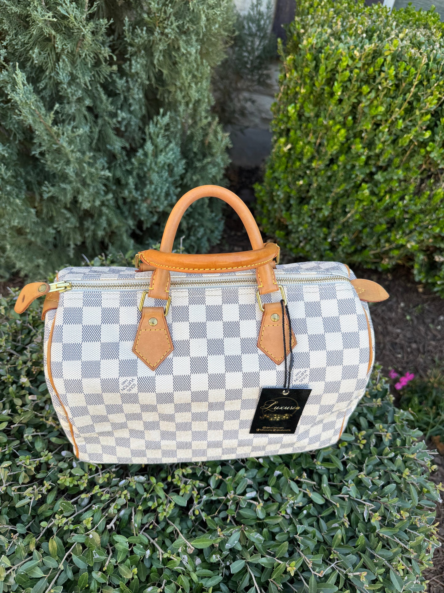 Louis Vuitton Speedy 30