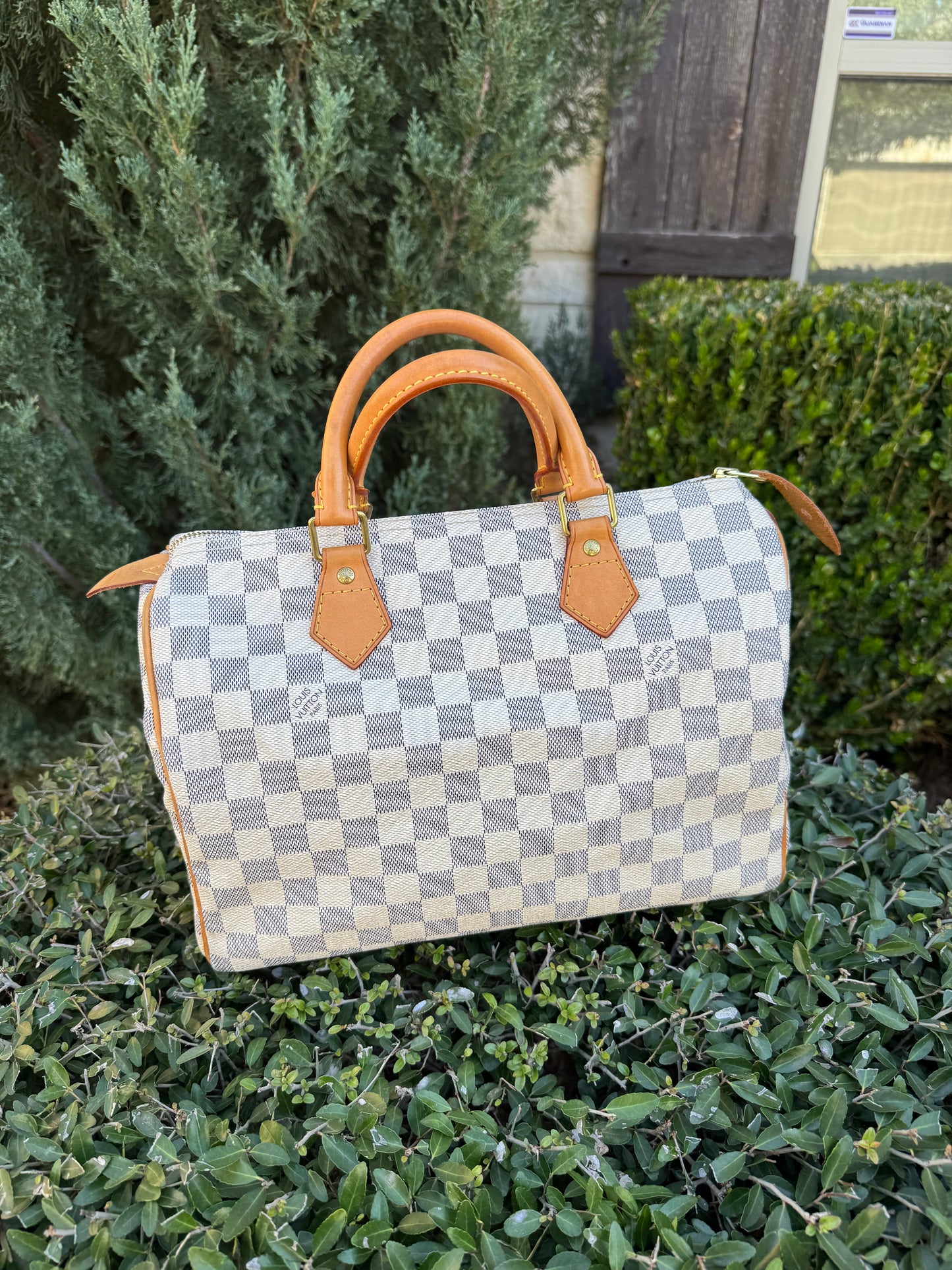 Louis Vuitton Speedy 30