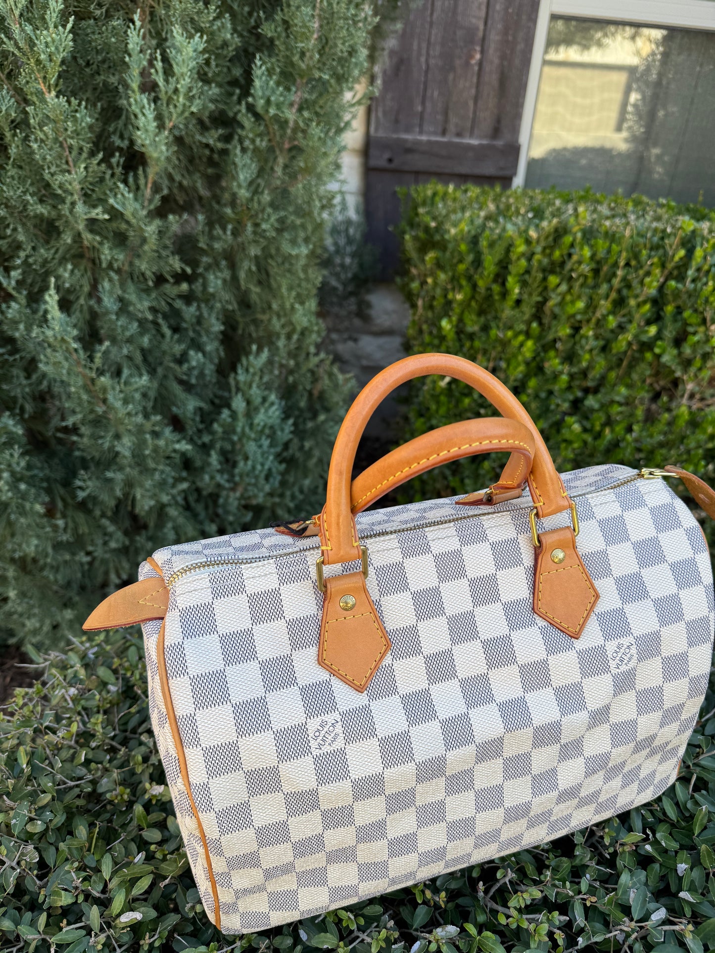Louis Vuitton Speedy 30