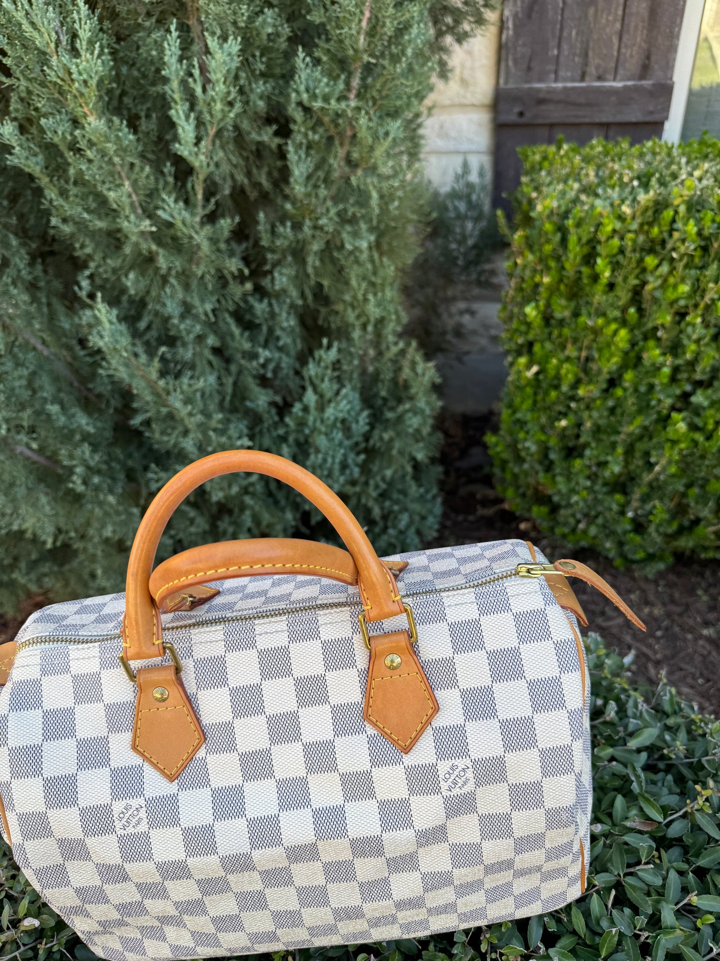 Louis Vuitton Speedy 30