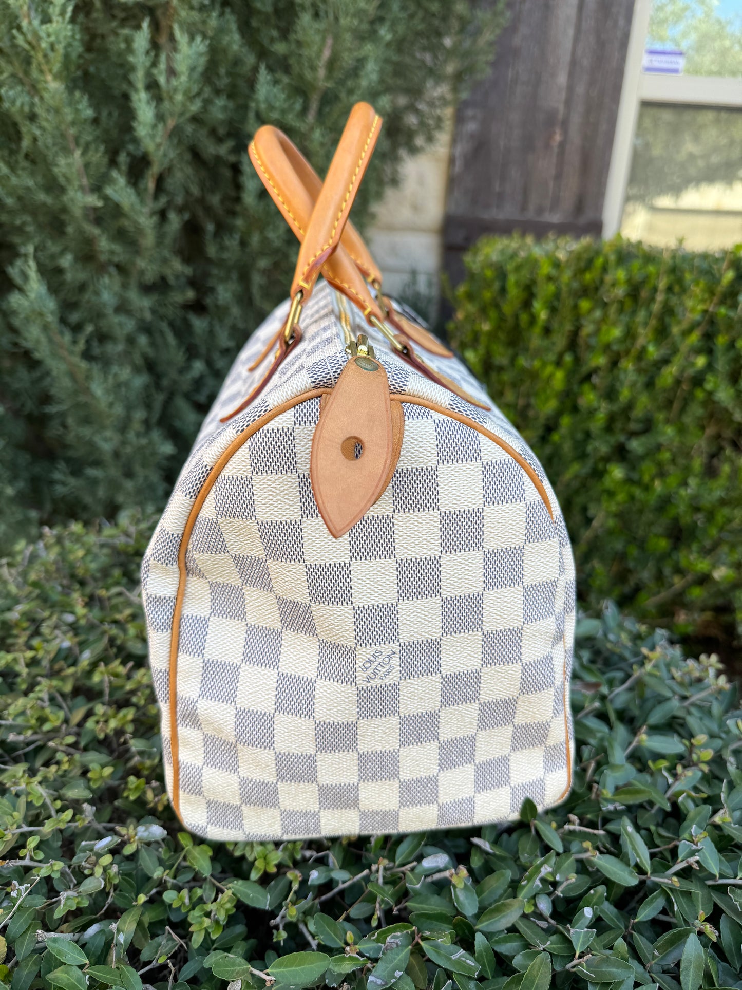 Louis Vuitton Speedy 30