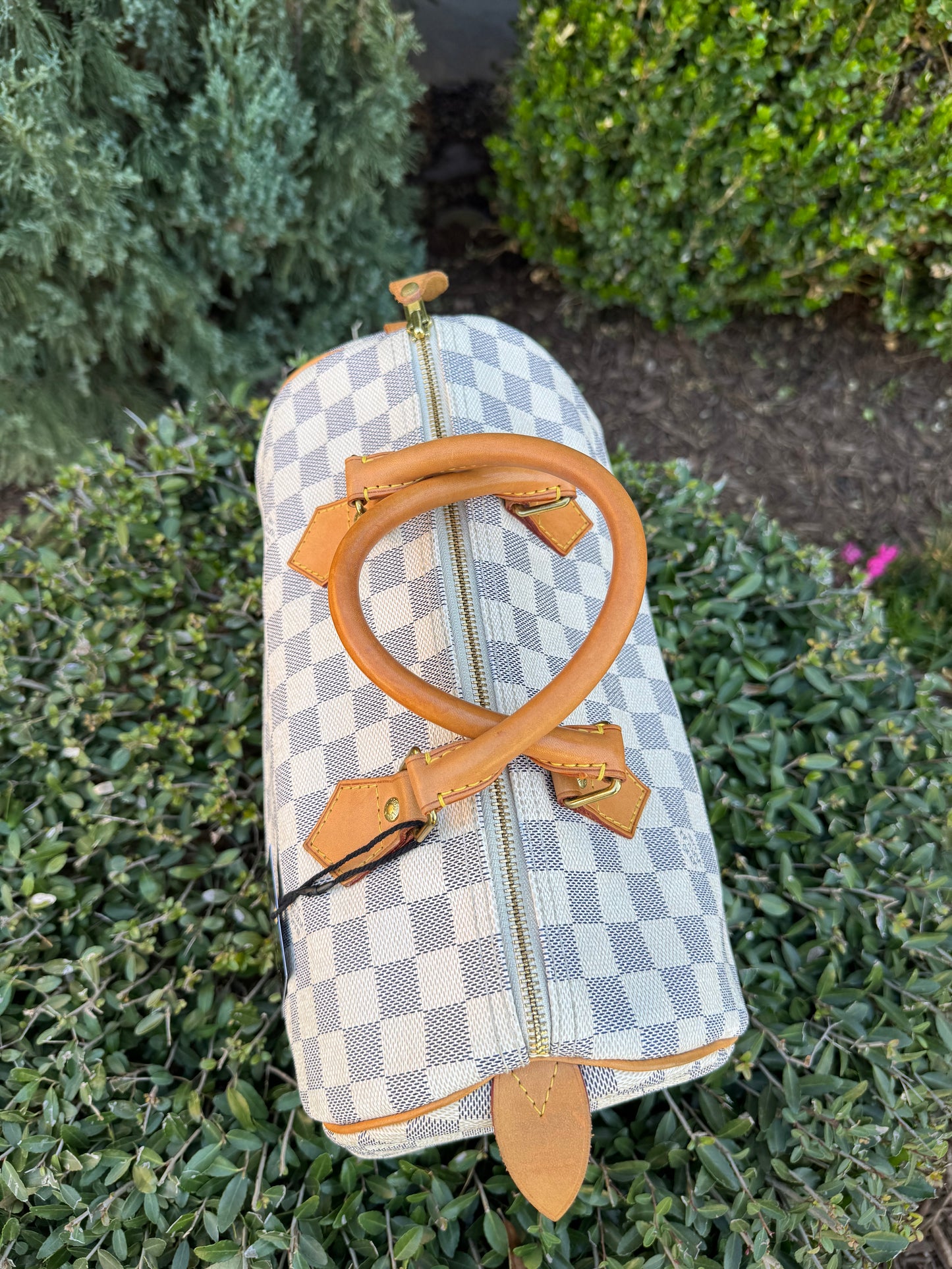 Louis Vuitton Speedy 30