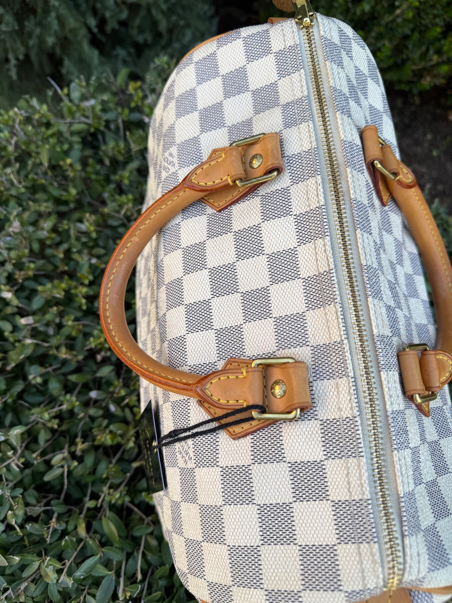 Louis Vuitton Speedy 30