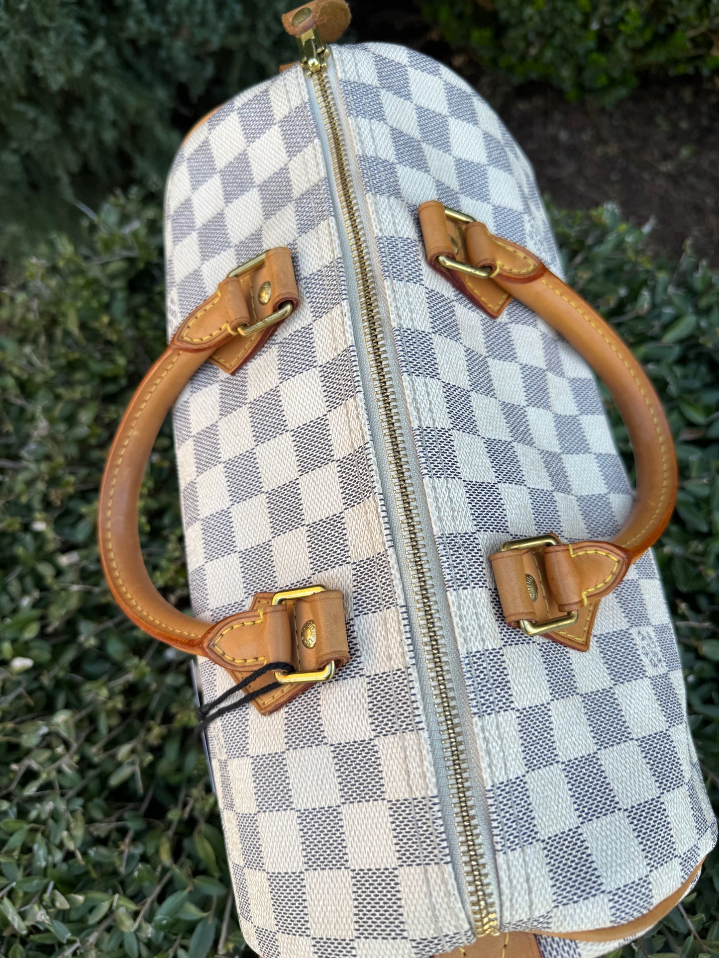 Louis Vuitton Speedy 30