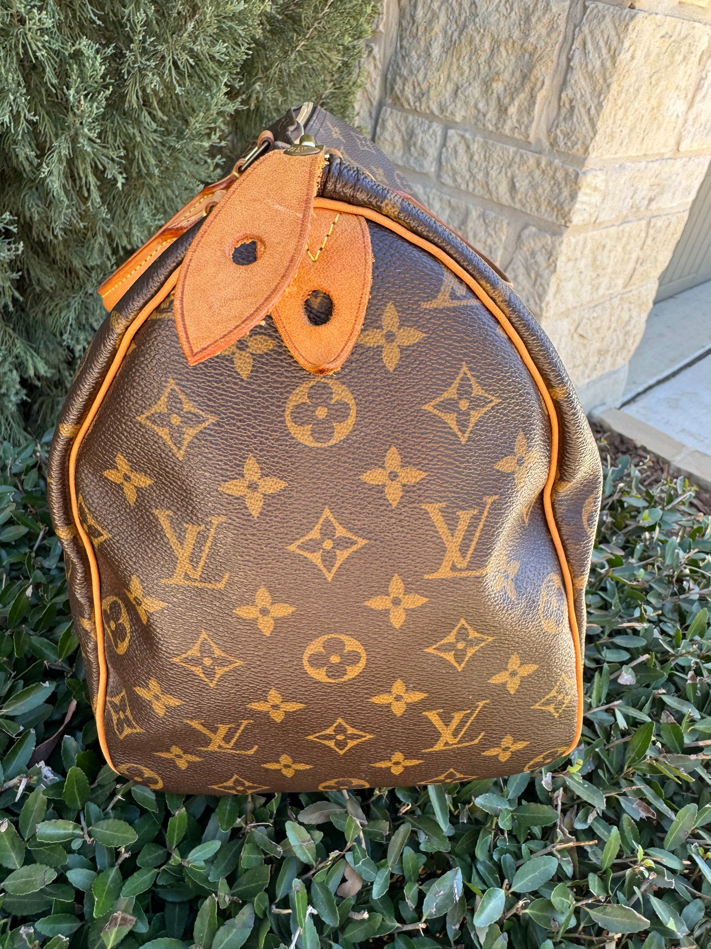 Louis Vuitton Speedy 35