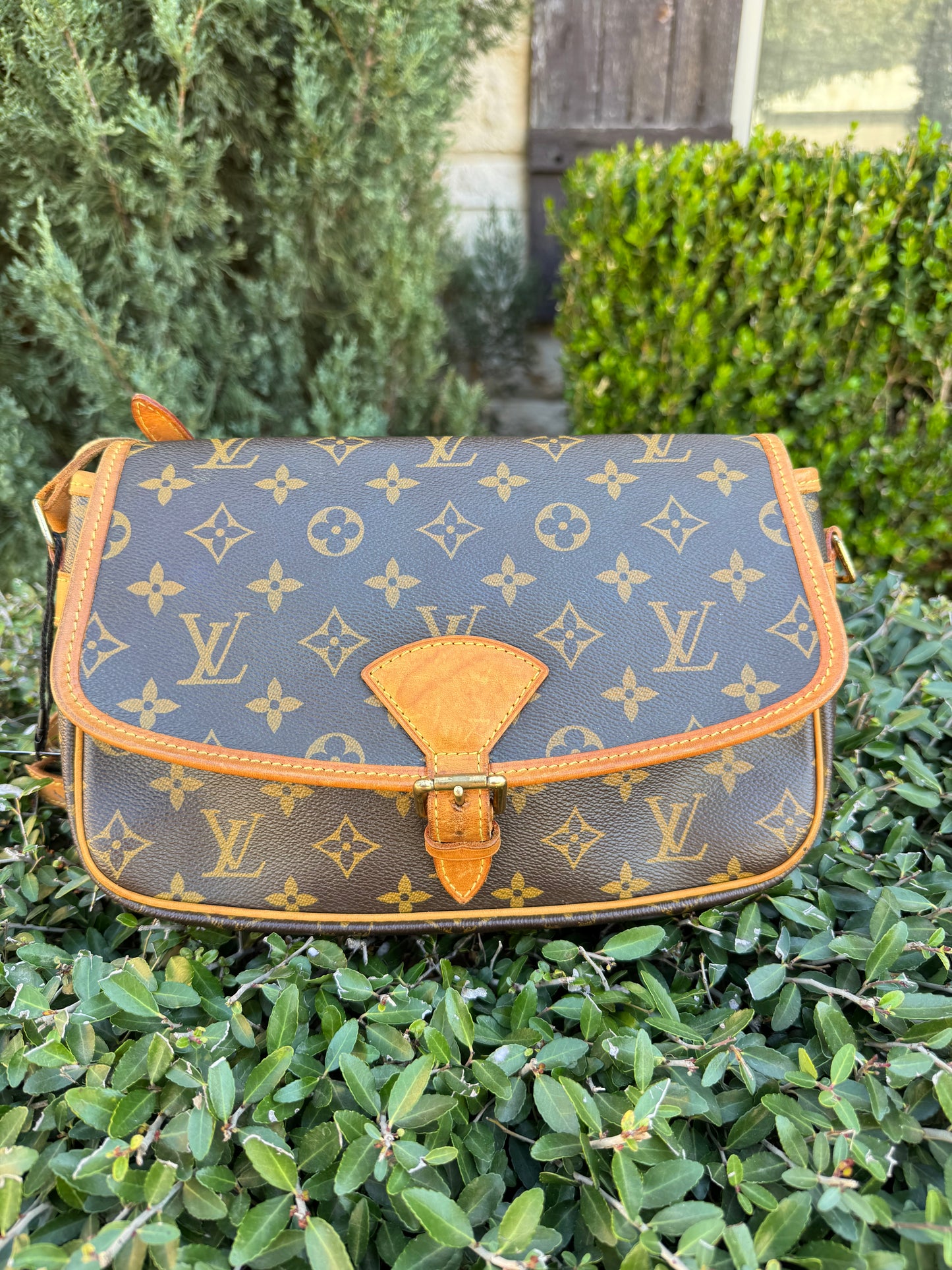 Louis Vuitton Sologne