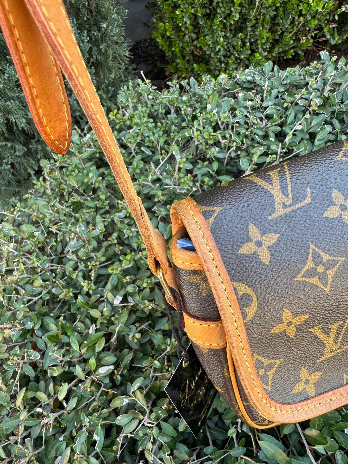 Louis Vuitton Sologne