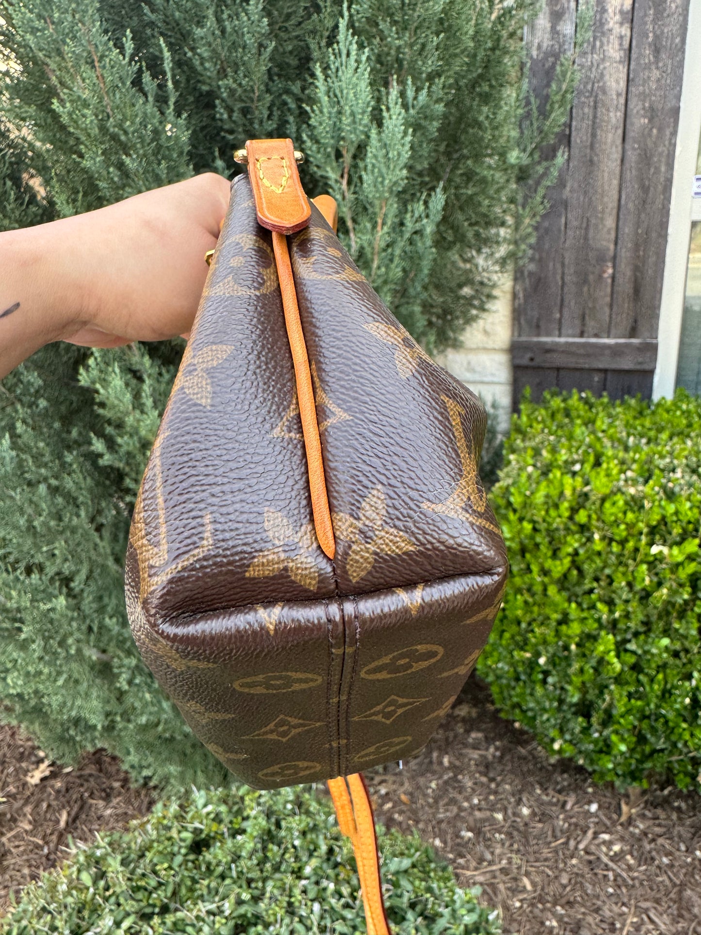 Louis Vuitton Nano Turenne