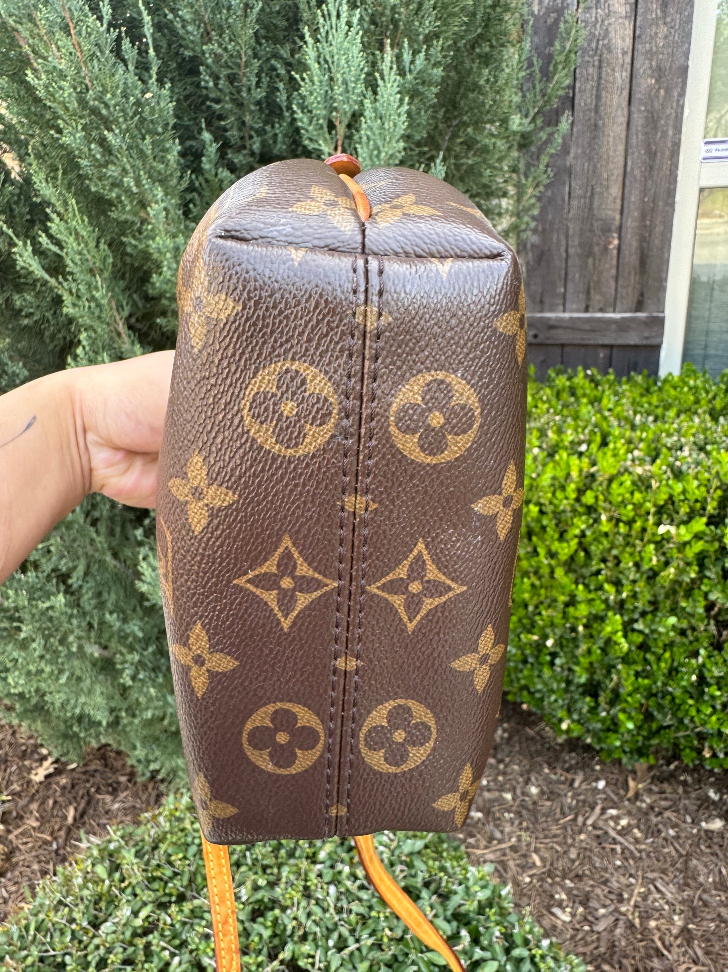 Louis Vuitton Nano Turenne