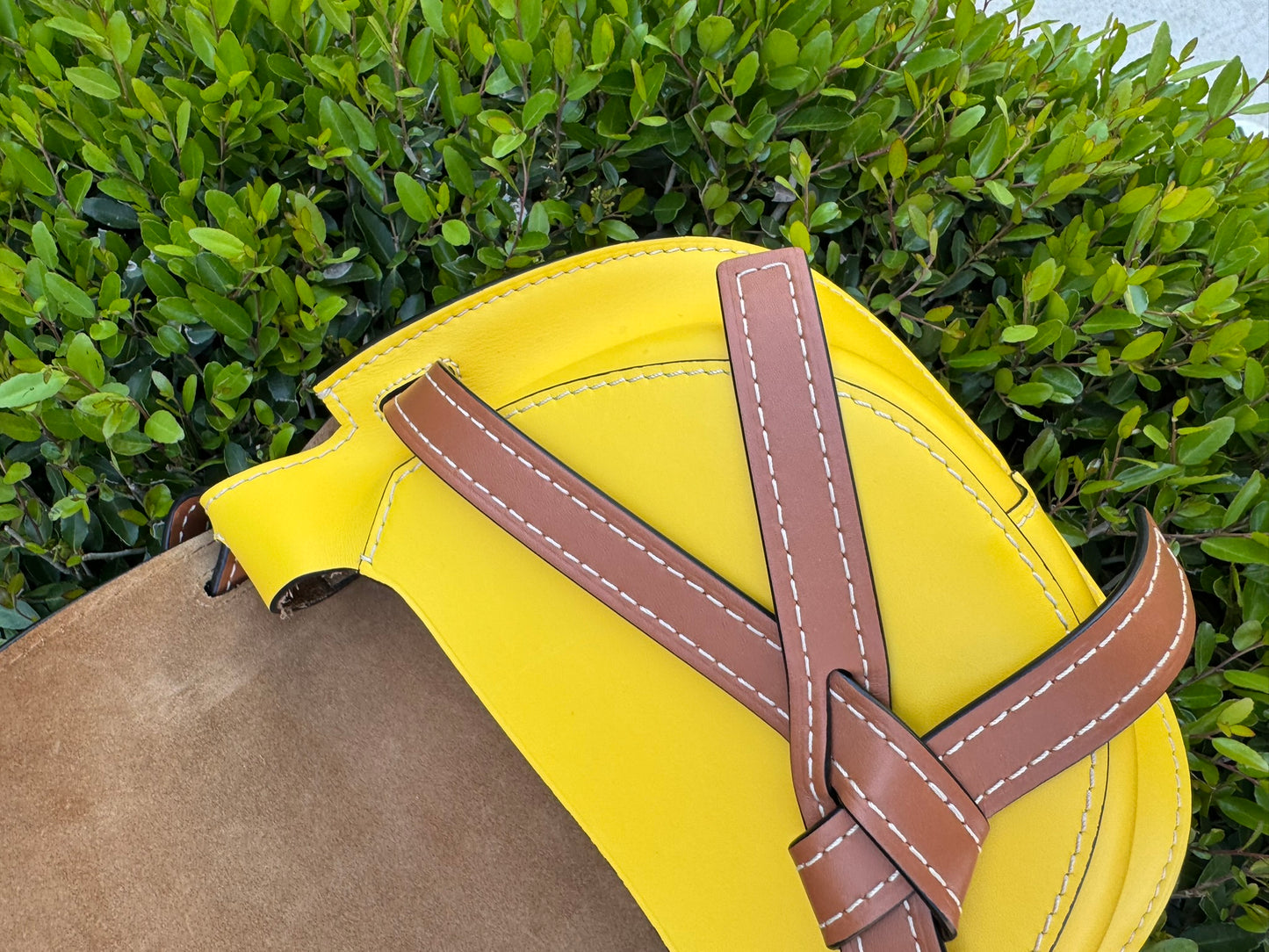 Loewe Small Gate Crossbody Bag in Mocca Yellow & Pecan