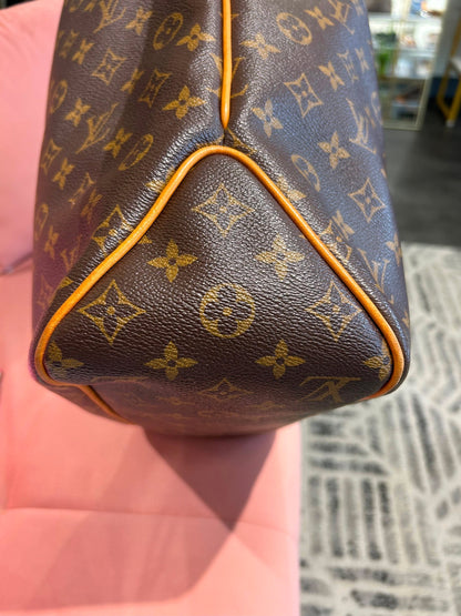 Louis Vuitton Delightful MM – Monogram Canvas