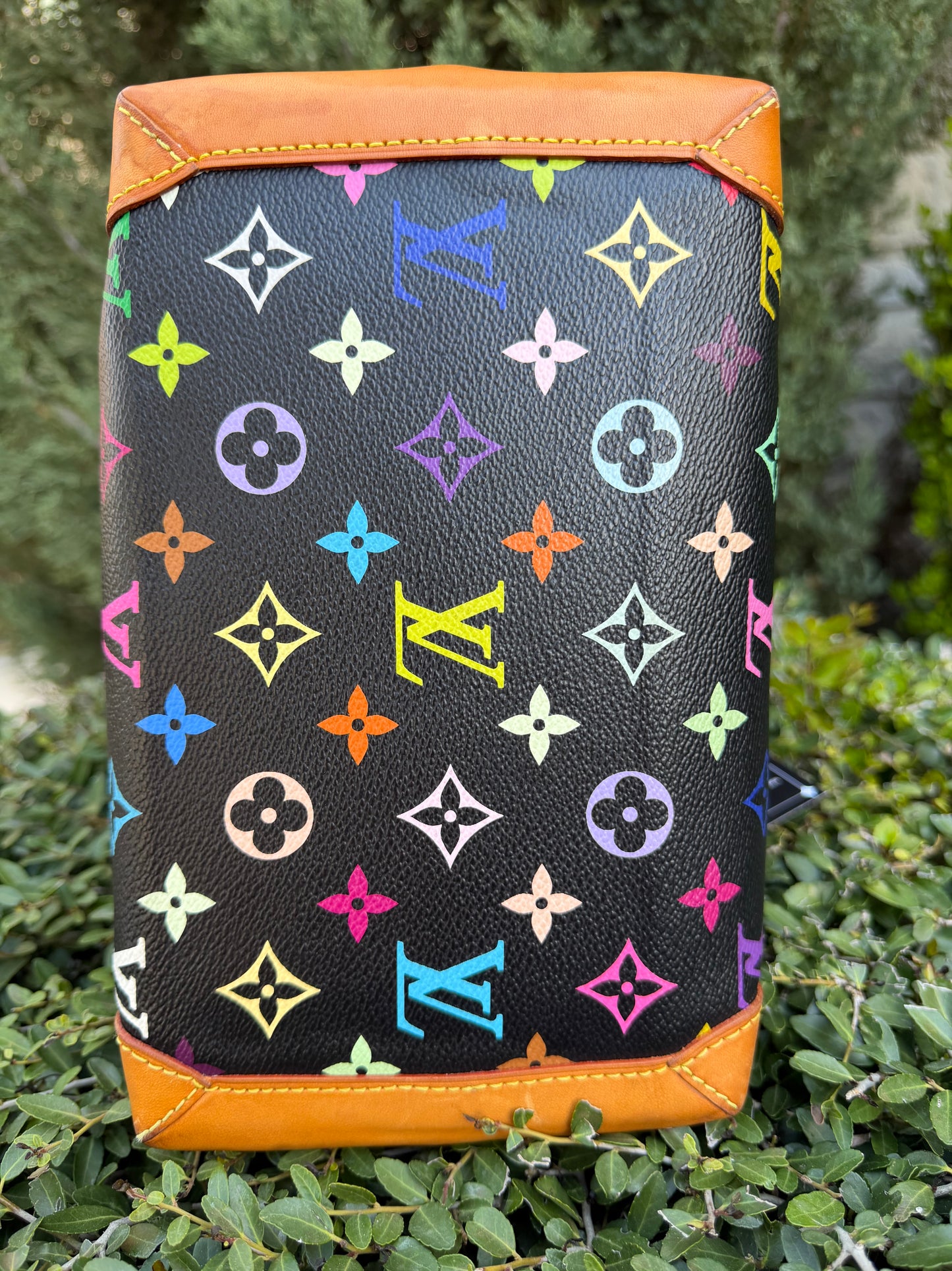 Louis Vuitton Audra in Noir