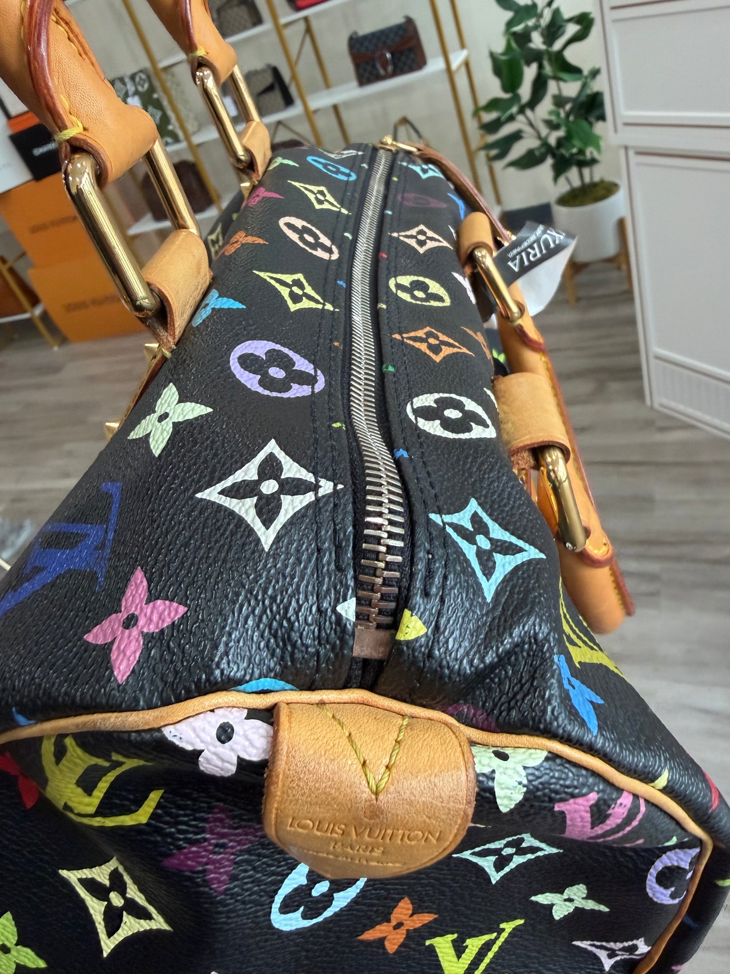 Louis Vuitton Speedy Multicolor in Noir