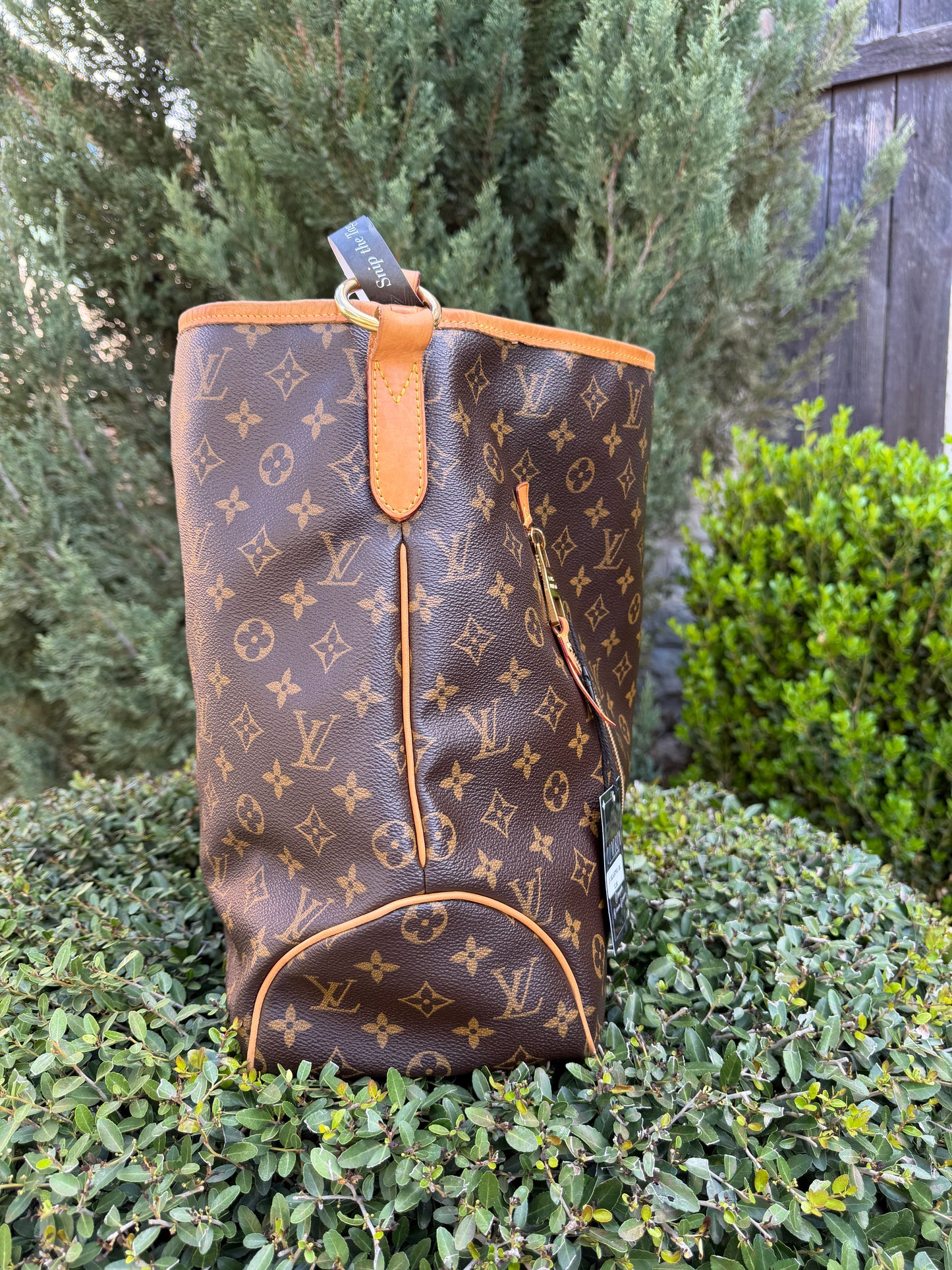 Louis Vuitton Delightful GM in Monogram Canvas