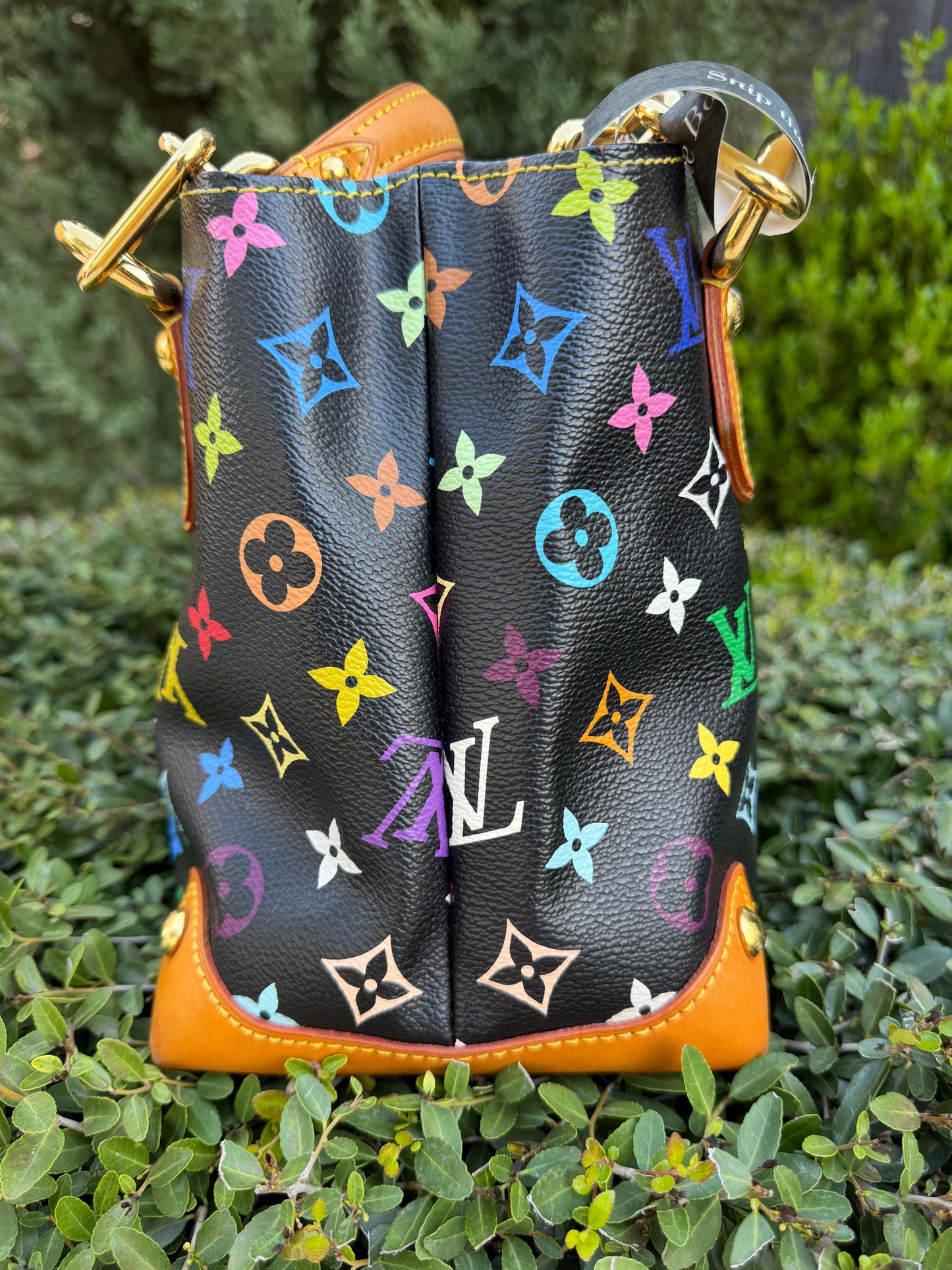 Louis Vuitton Audra in Noir