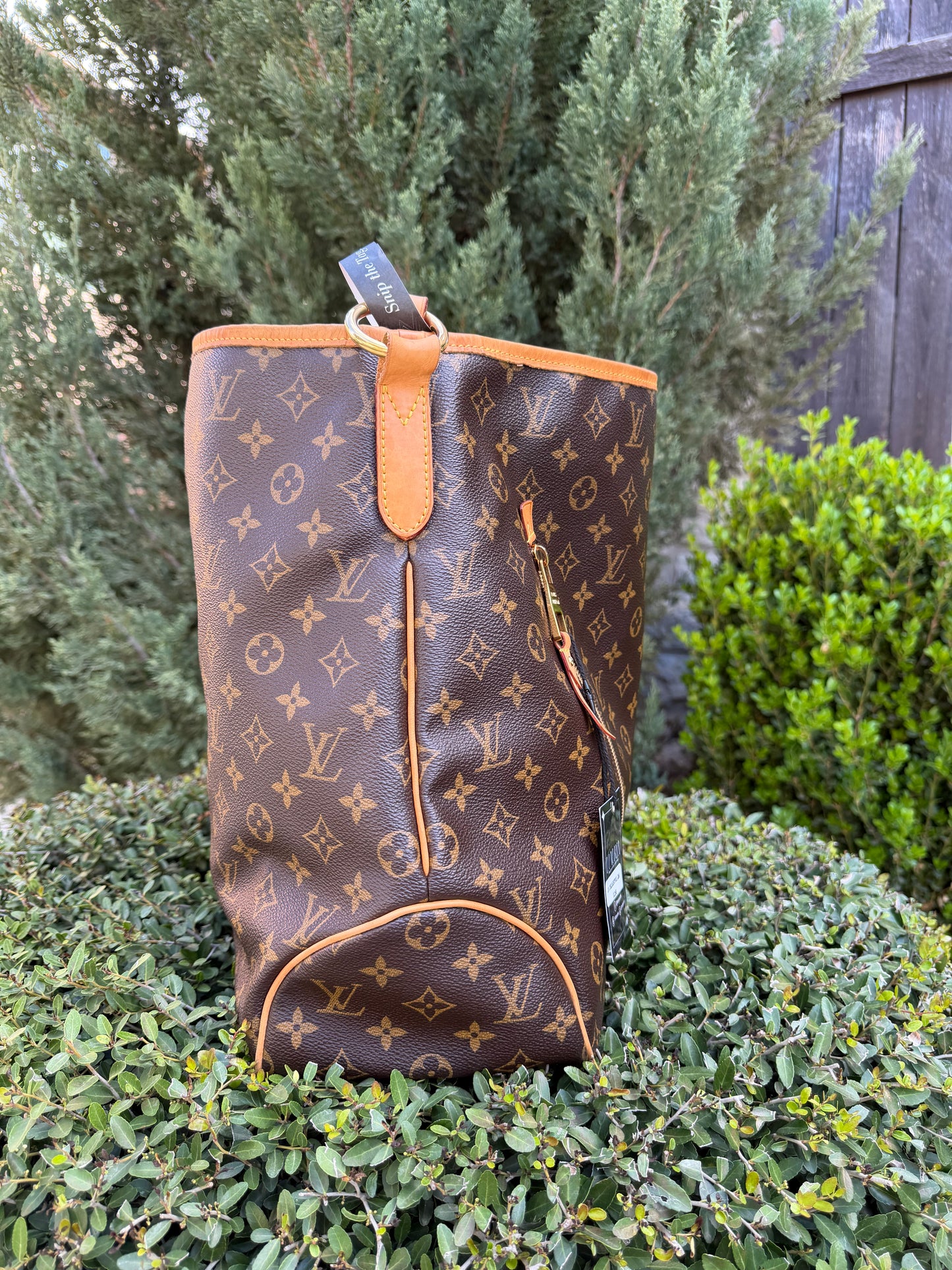 Louis Vuitton Delightful GM in Monogram Canvas