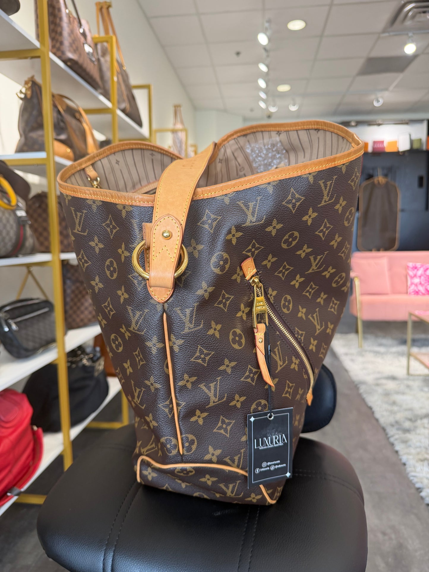 Louis Vuitton Delightful GM – Monogram Canvas