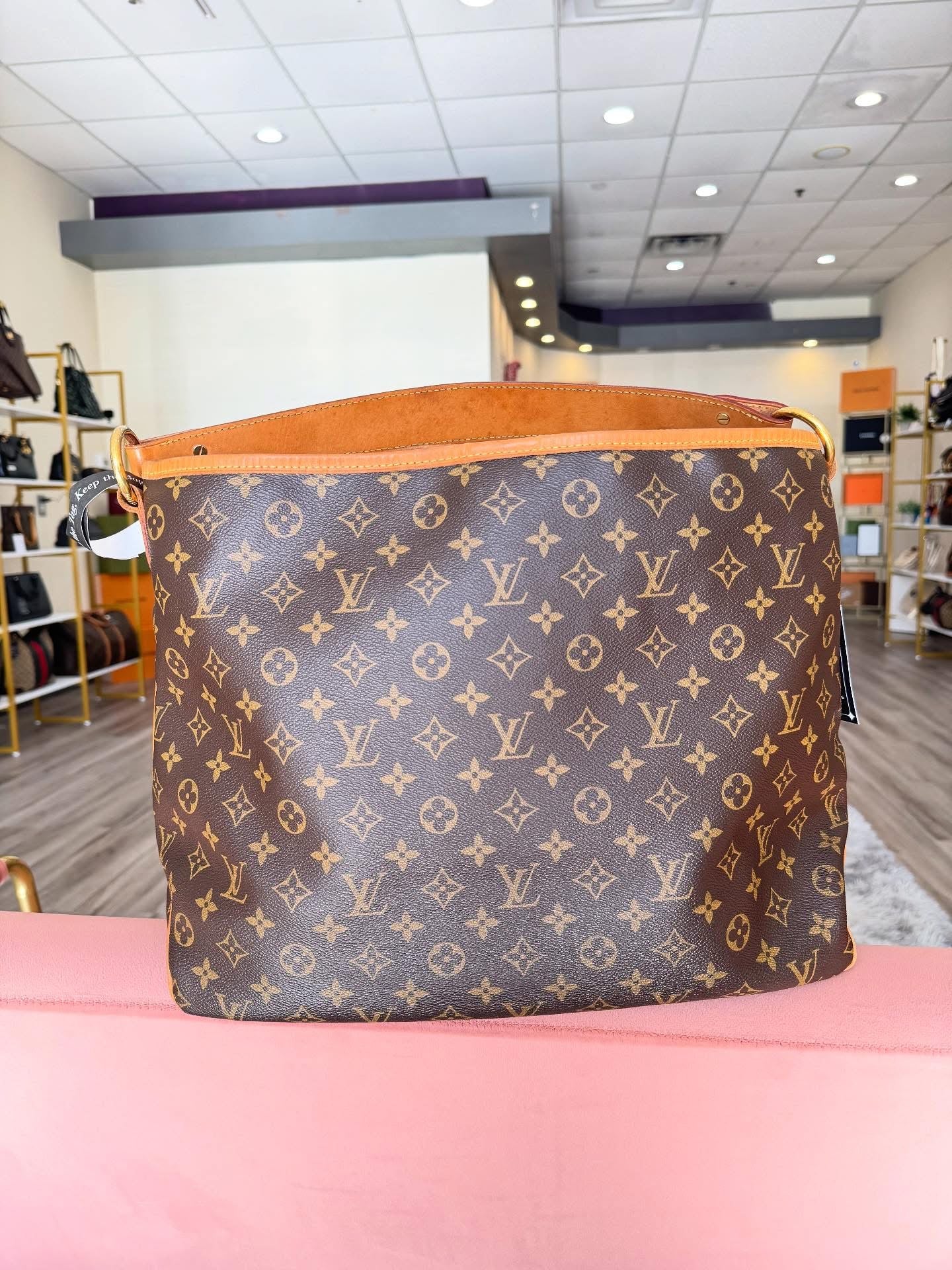 Louis Vuitton Delightful MM – Monogram Canvas