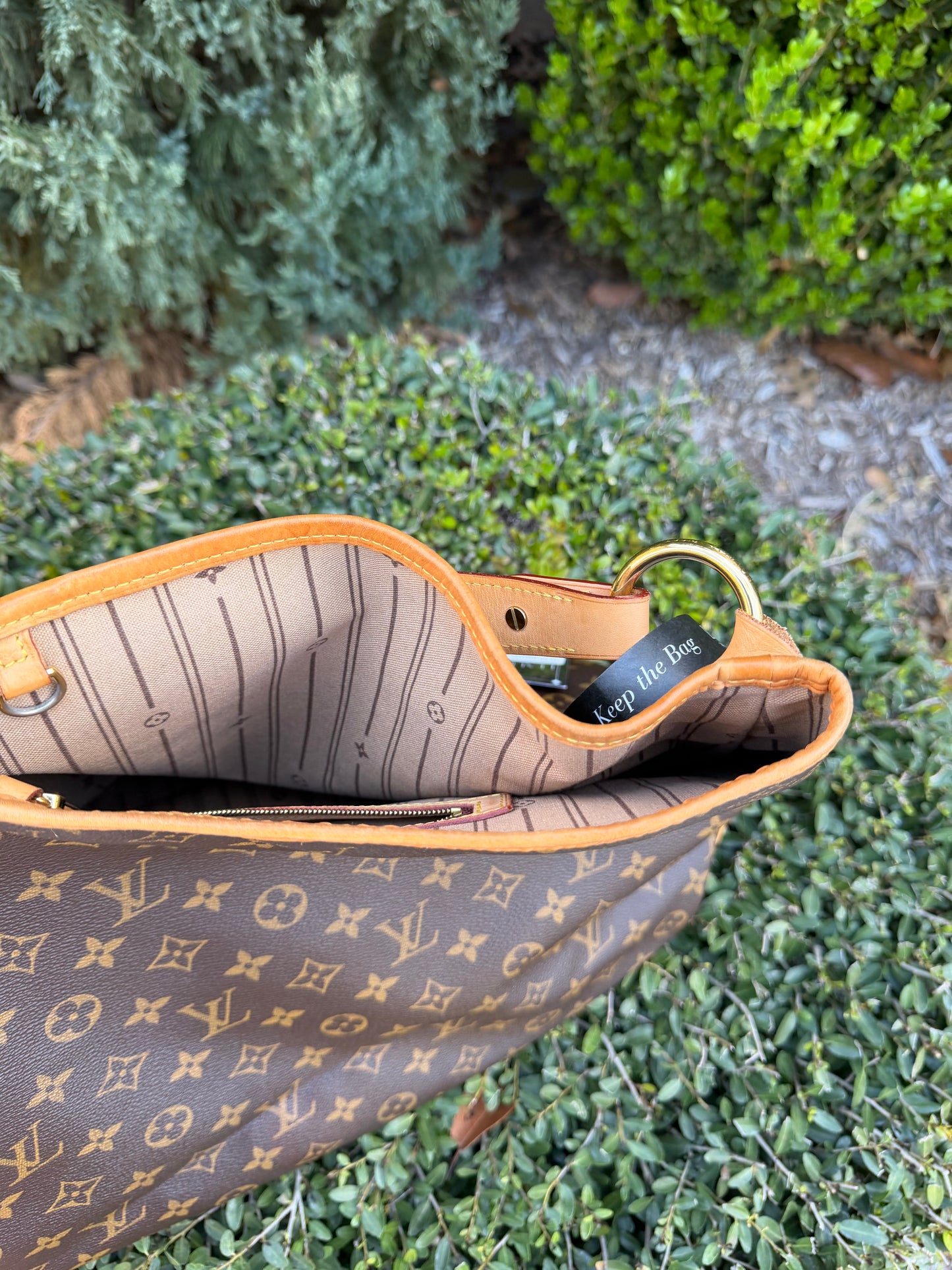 Louis Vuitton Delightful GM in Monogram Canvas