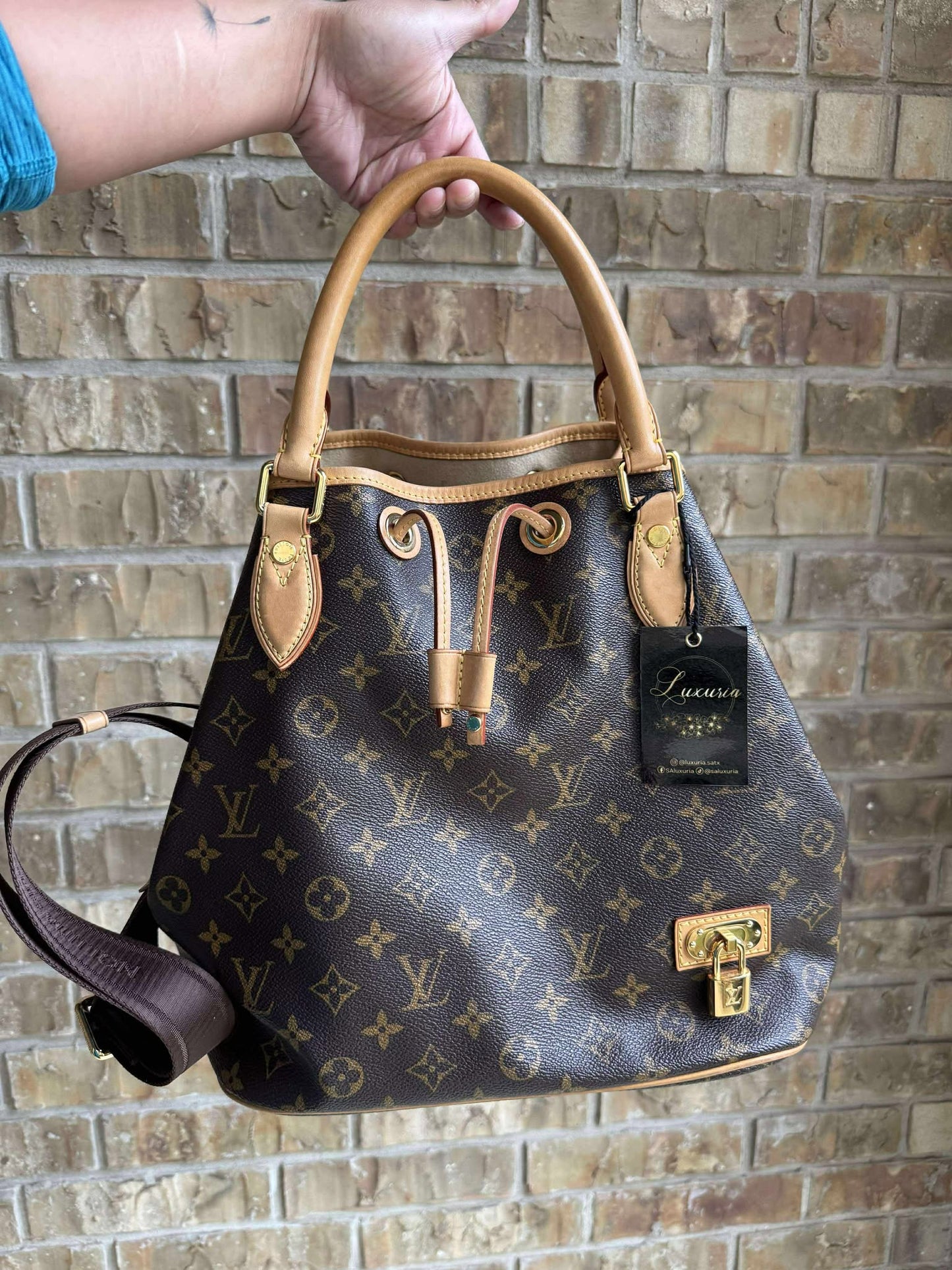 Louis Vuitton Noé Éden in Monogram Canvas