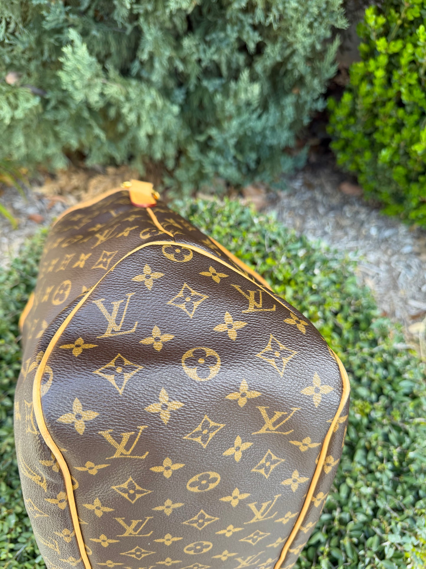 Louis Vuitton Delightful GM in Monogram Canvas