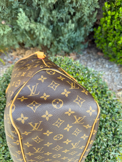 Louis Vuitton Delightful GM in Monogram Canvas