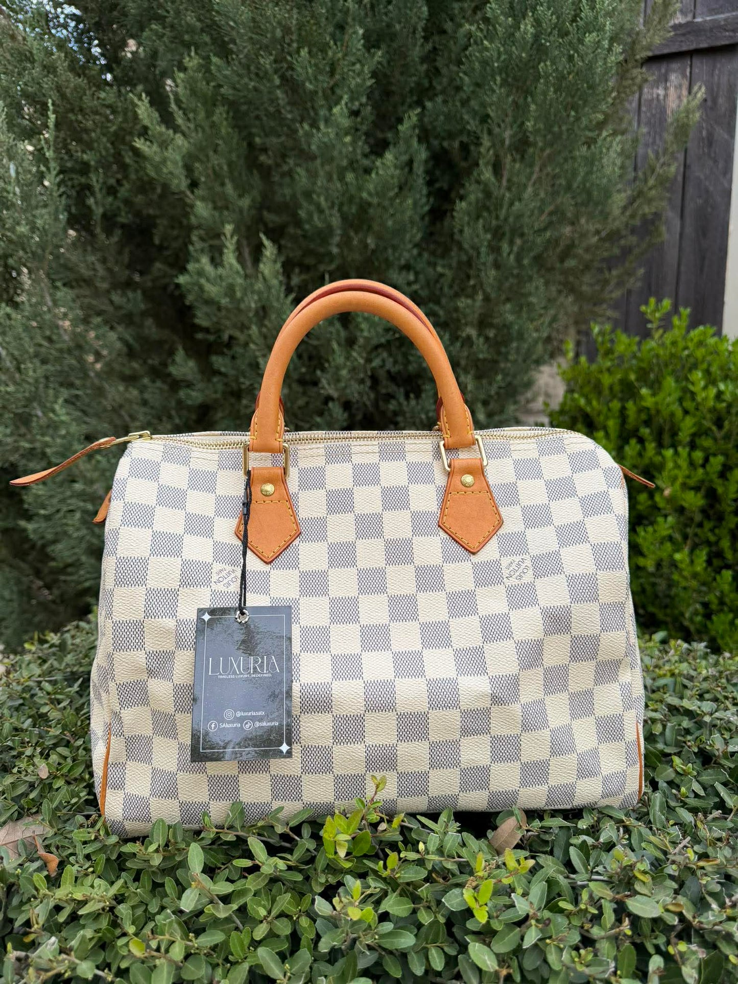 Louis Vuitton Speedy 30 in Damier Azur