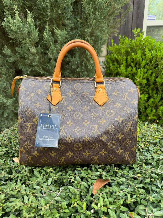 Louis Vuitton Speedy 30 in Monogram Canvas