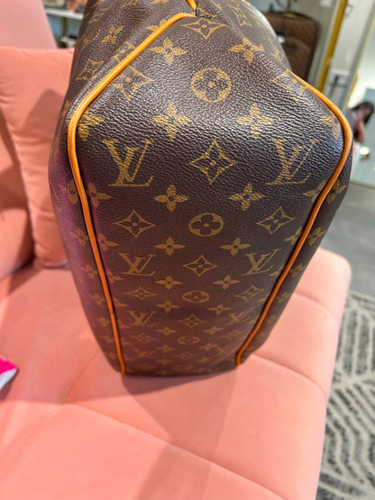Louis Vuitton Delightful MM – Monogram Canvas
