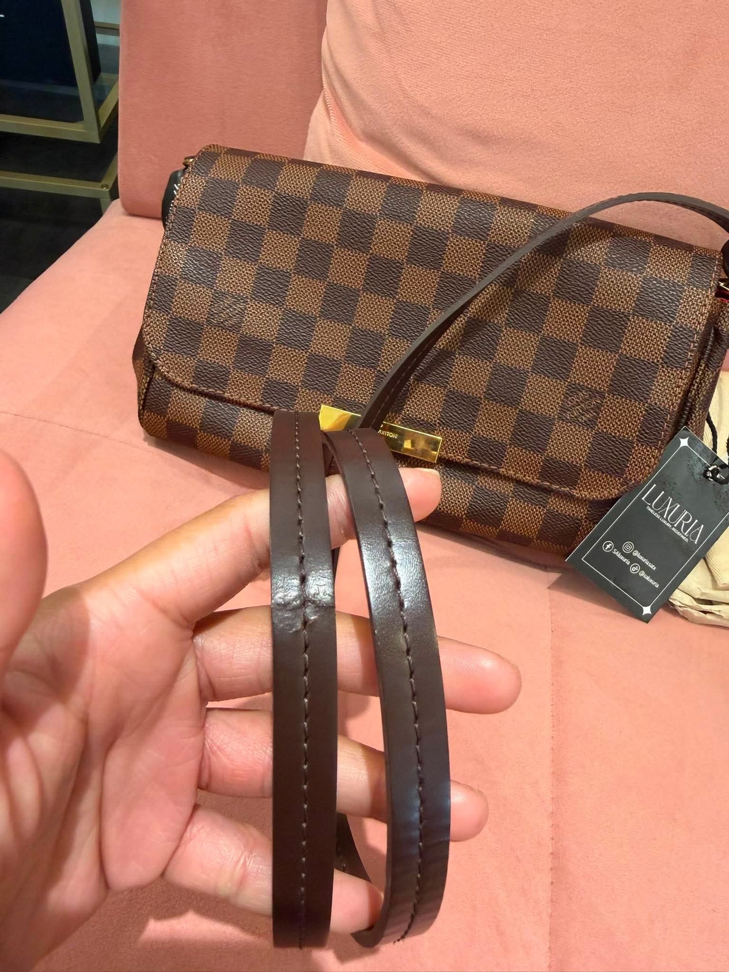 Louis Vuitton Favorite MM in Damier Ebene (For Ms Lisa)