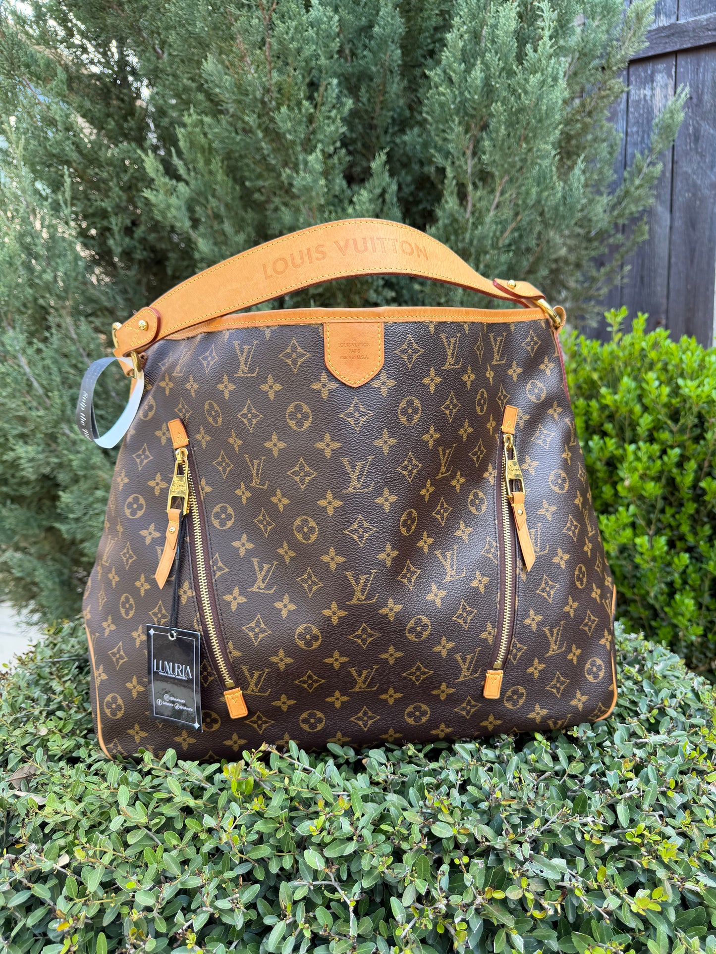 Louis Vuitton Delightful GM in Monogram Canvas