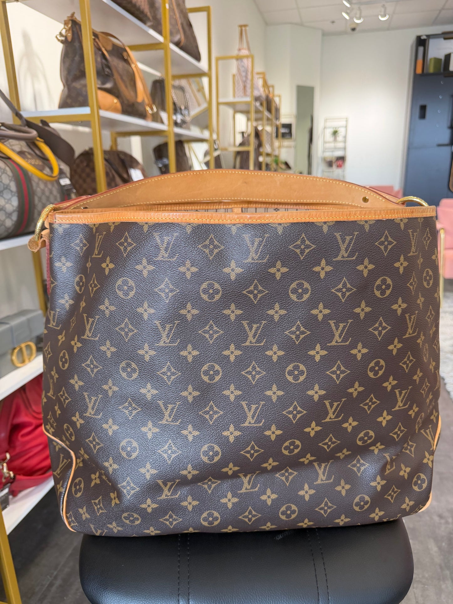 Louis Vuitton Delightful GM – Monogram Canvas