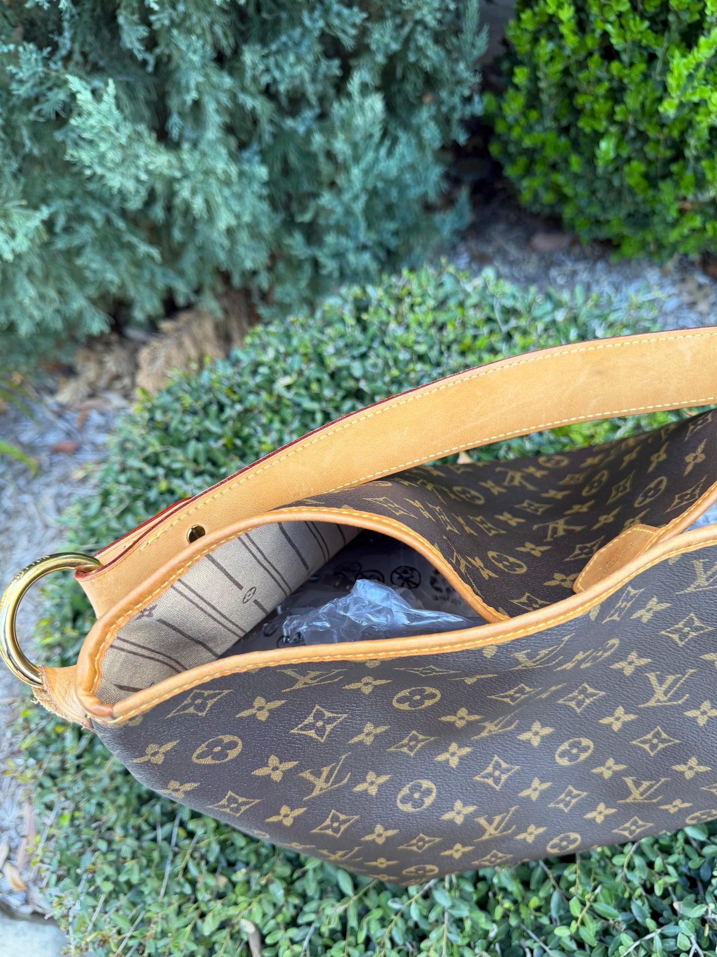 Louis Vuitton Delightful GM in Monogram Canvas
