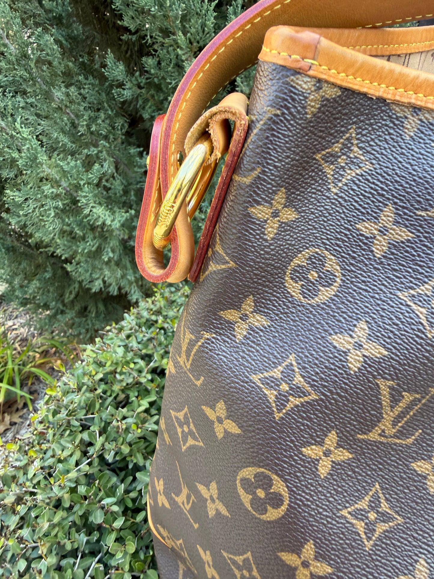 Louis Vuitton Delightful GM in Monogram Canvas