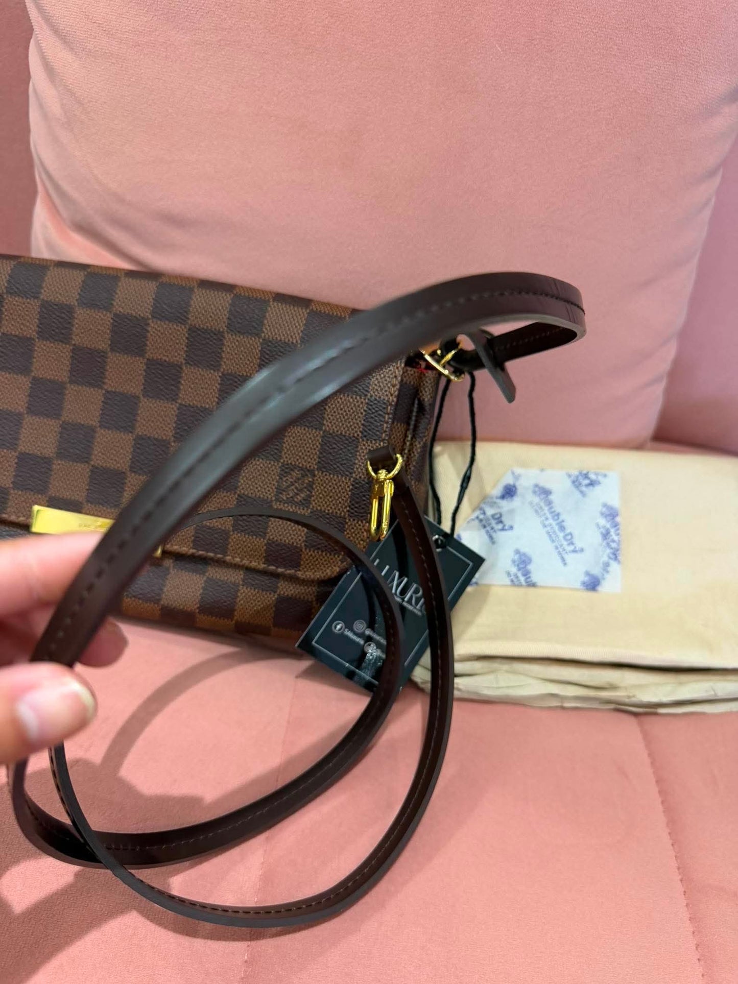 Louis Vuitton Favorite MM in Damier Ebene (For Ms Lisa)
