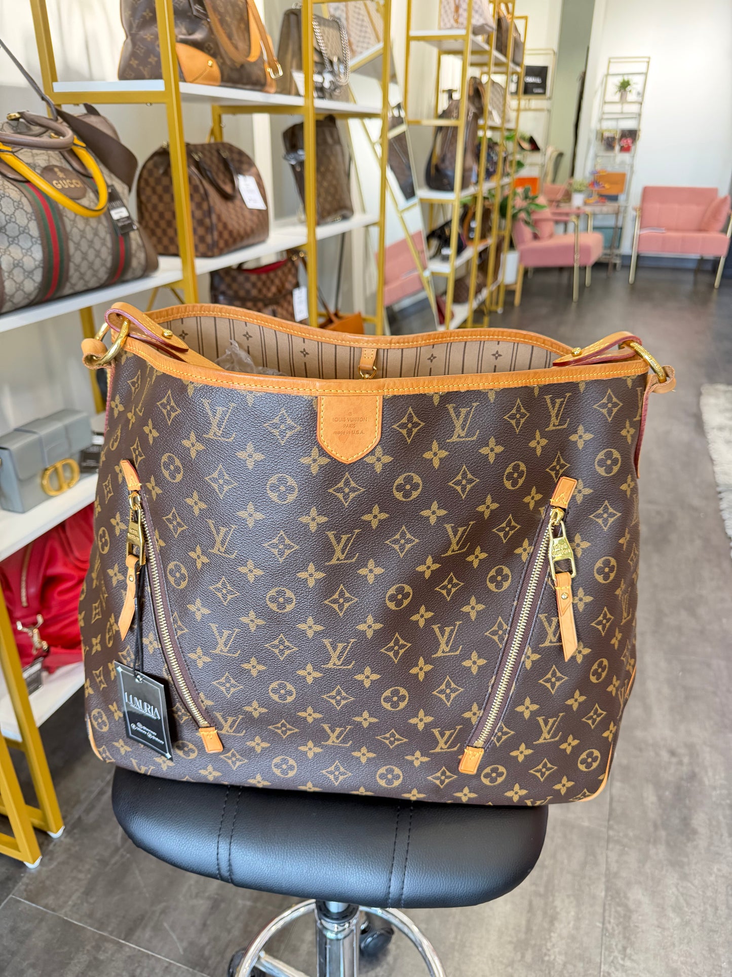 Louis Vuitton Delightful GM – Monogram Canvas