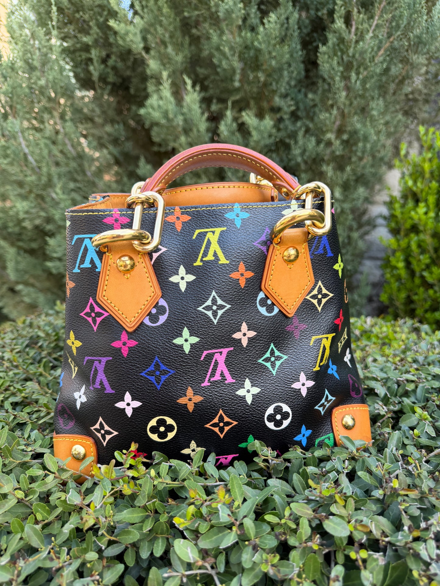 Louis Vuitton Audra in Noir