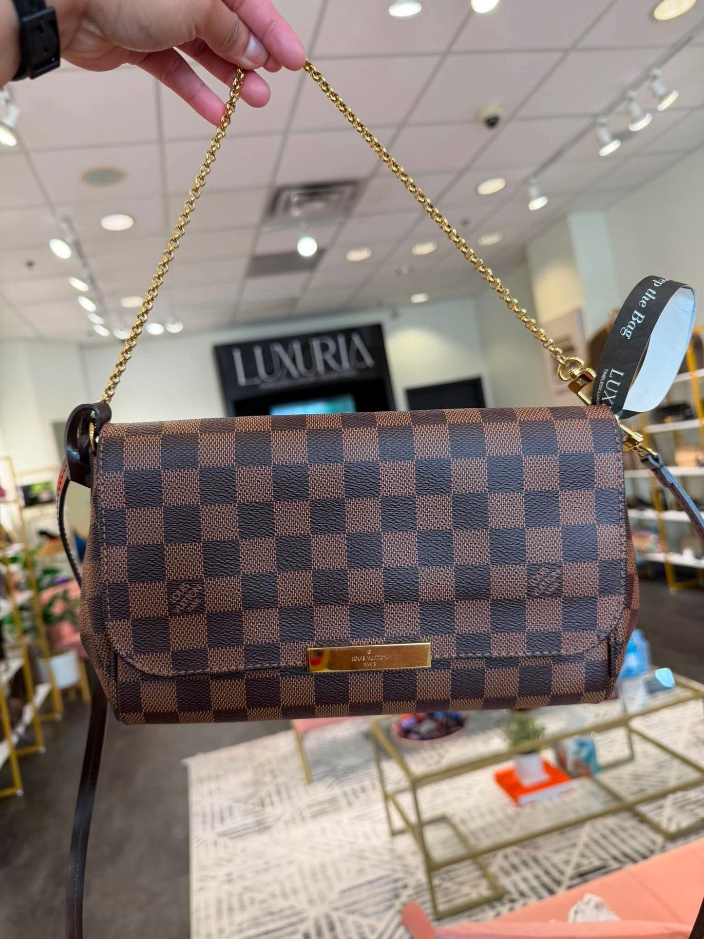 Louis Vuitton Favorite MM – Damier Ebene