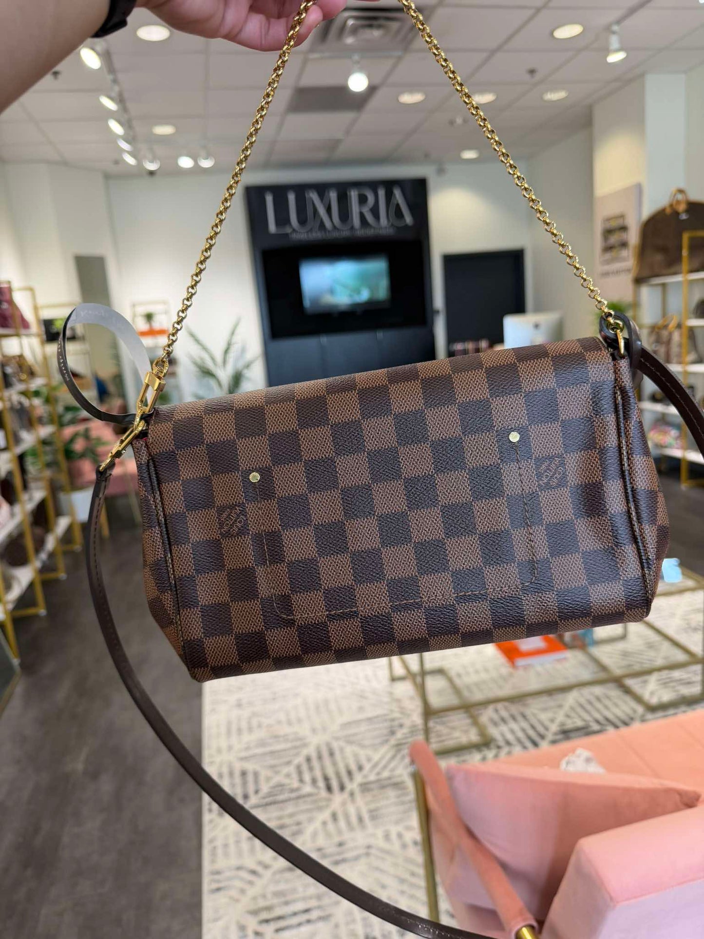 Louis Vuitton Favorite MM – Damier Ebene
