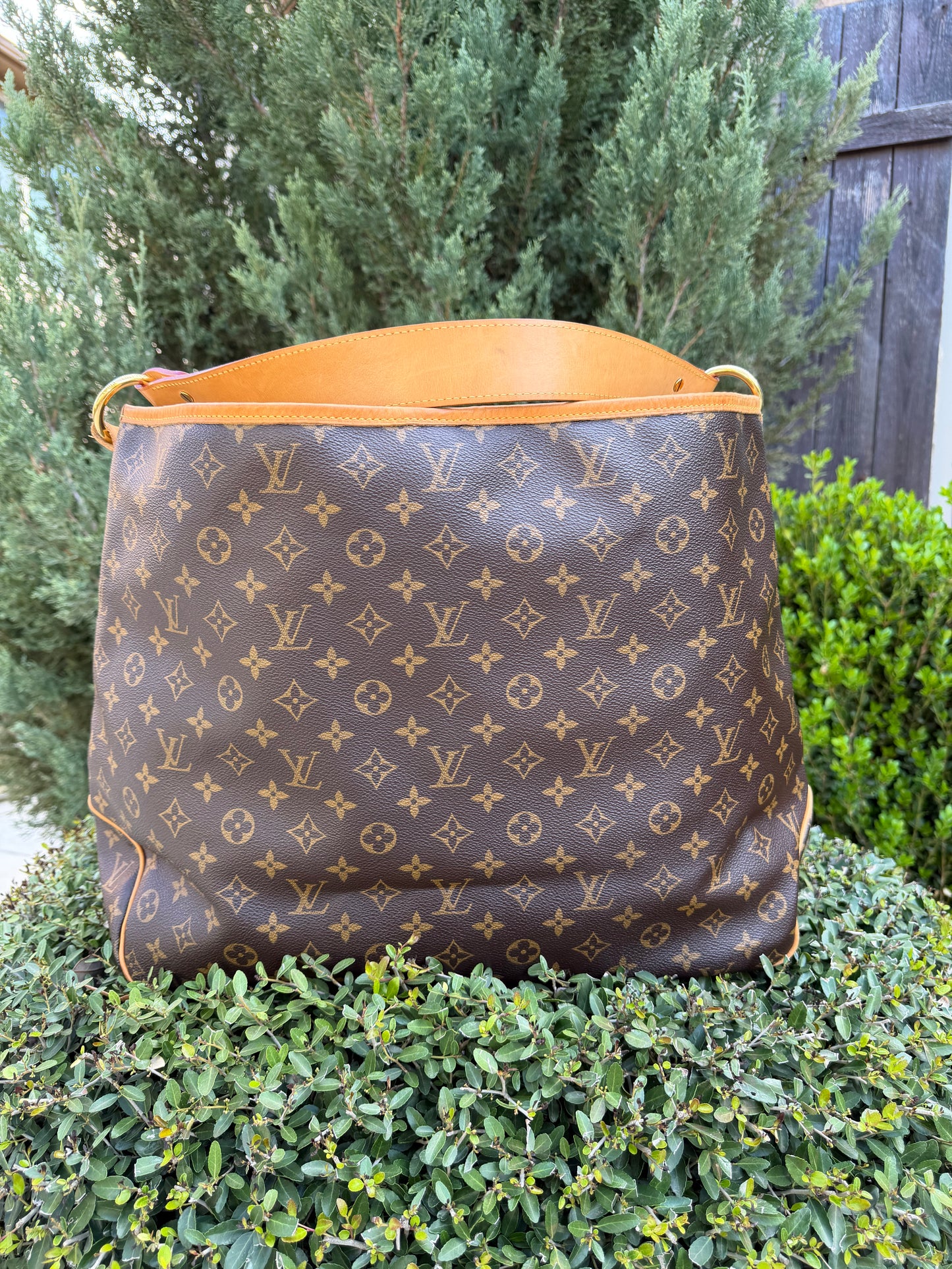 Louis Vuitton Delightful GM in Monogram Canvas