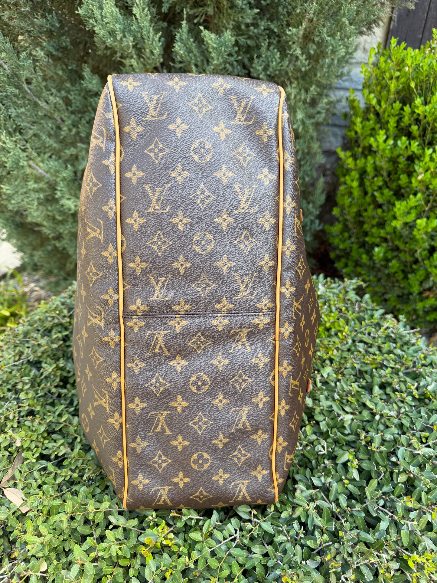 Louis Vuitton Delightful GM in Monogram Canvas