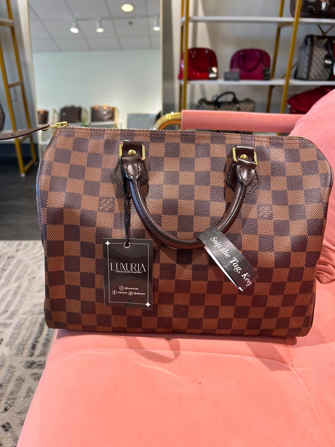 Louis Vuitton Speedy 30 – Damier Ebene