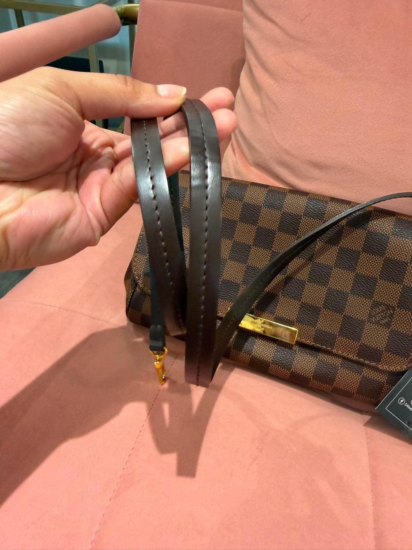 Louis Vuitton Favorite MM in Damier Ebene (For Ms Lisa)