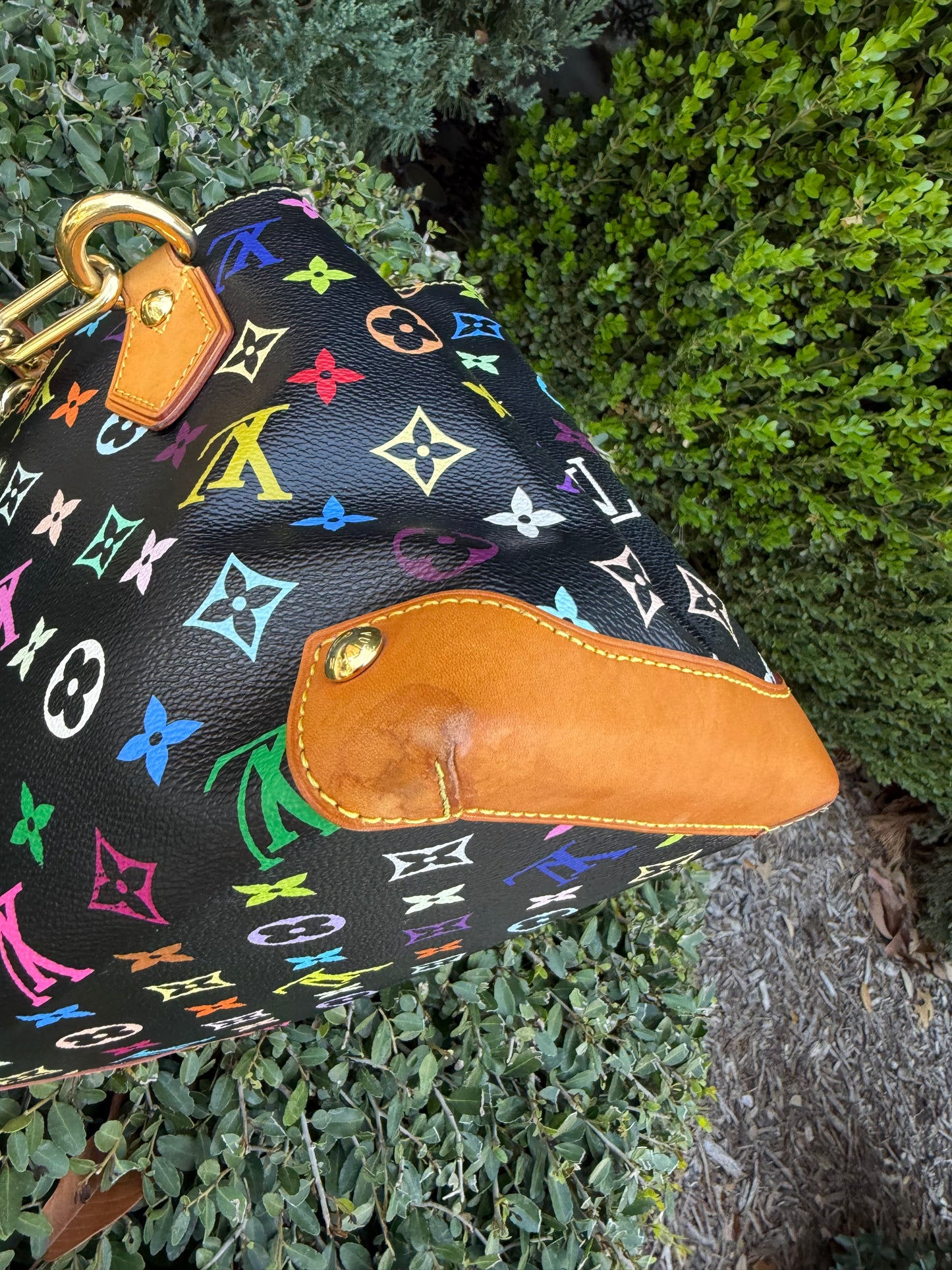 Louis Vuitton Audra in Noir